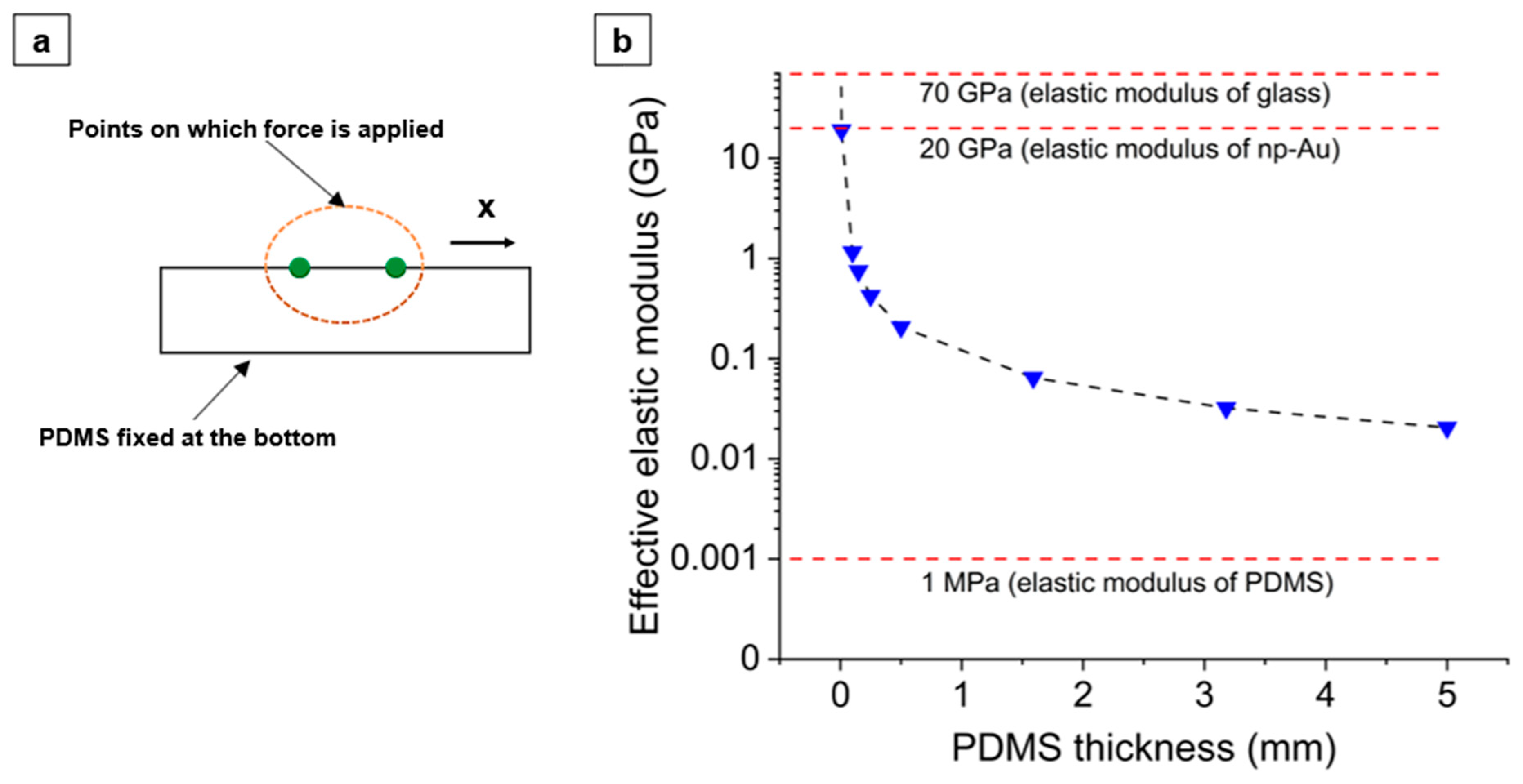 Nanomaterials 14 00758 g006
