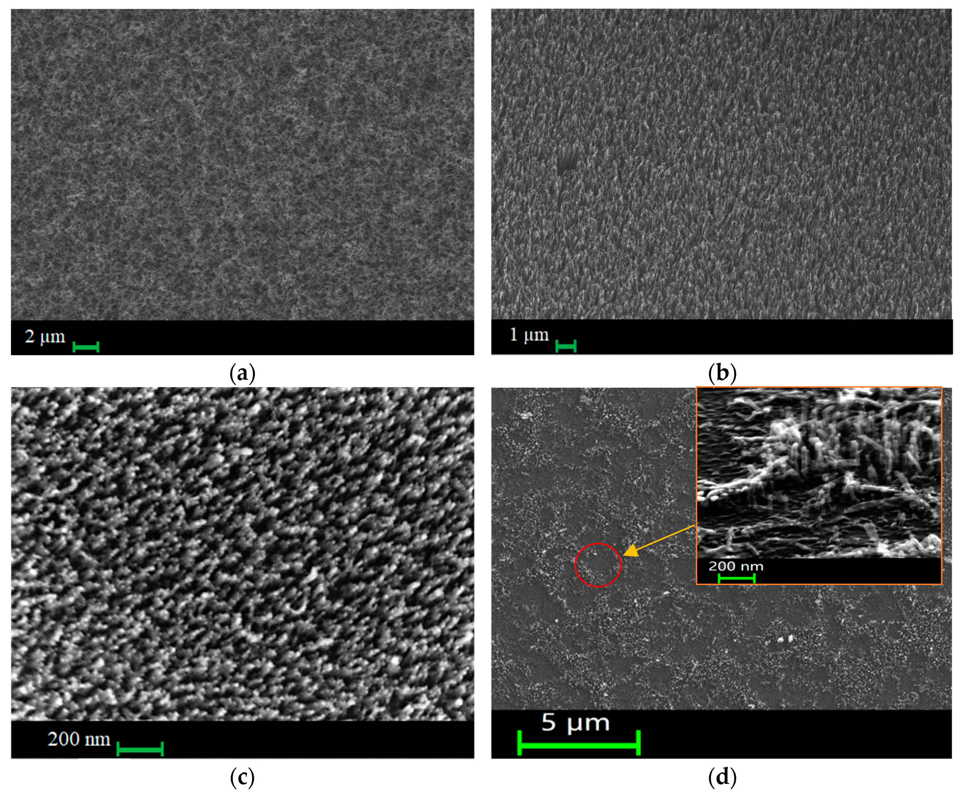 Nanomaterials 14 00763 g007