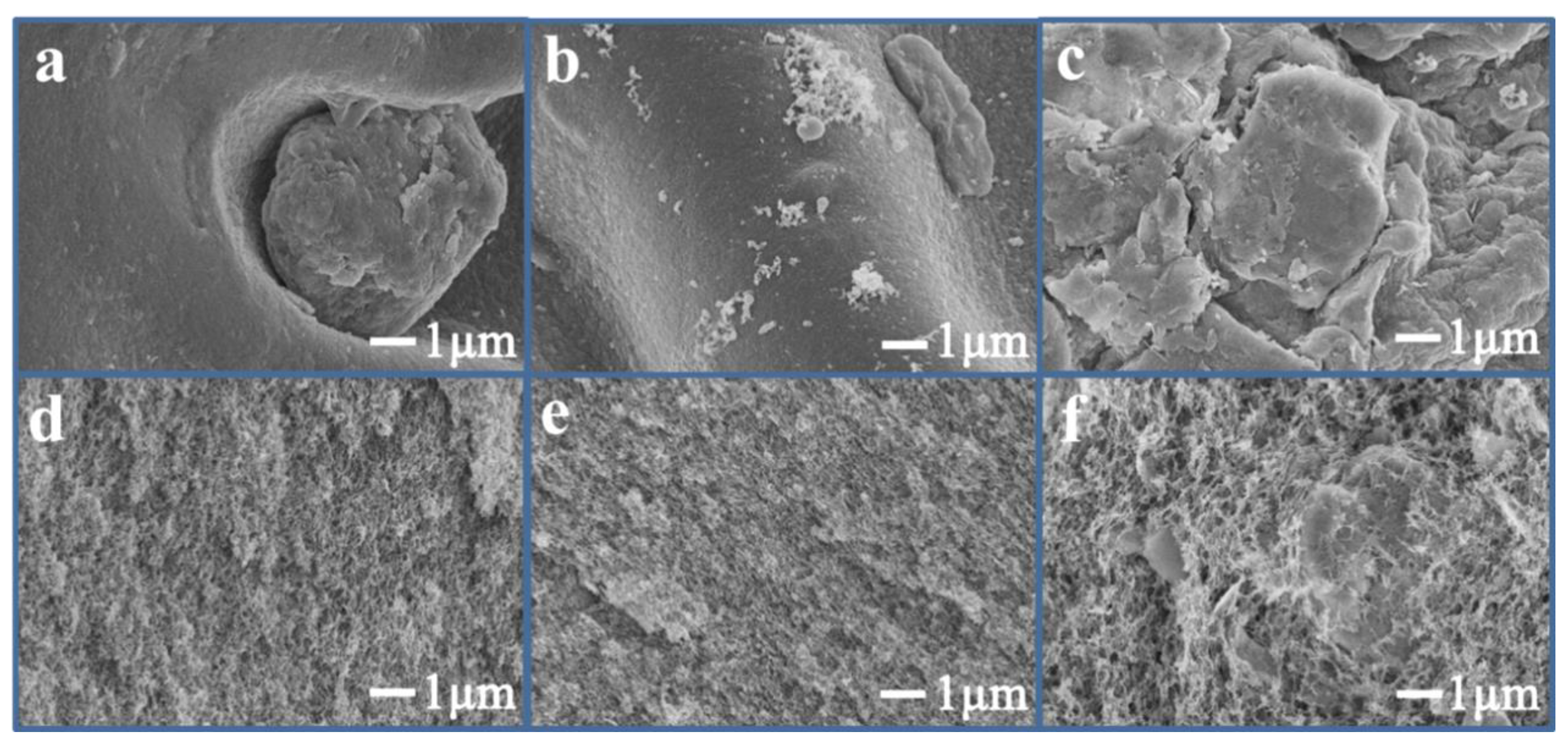 Nanomaterials 14 00766 g001