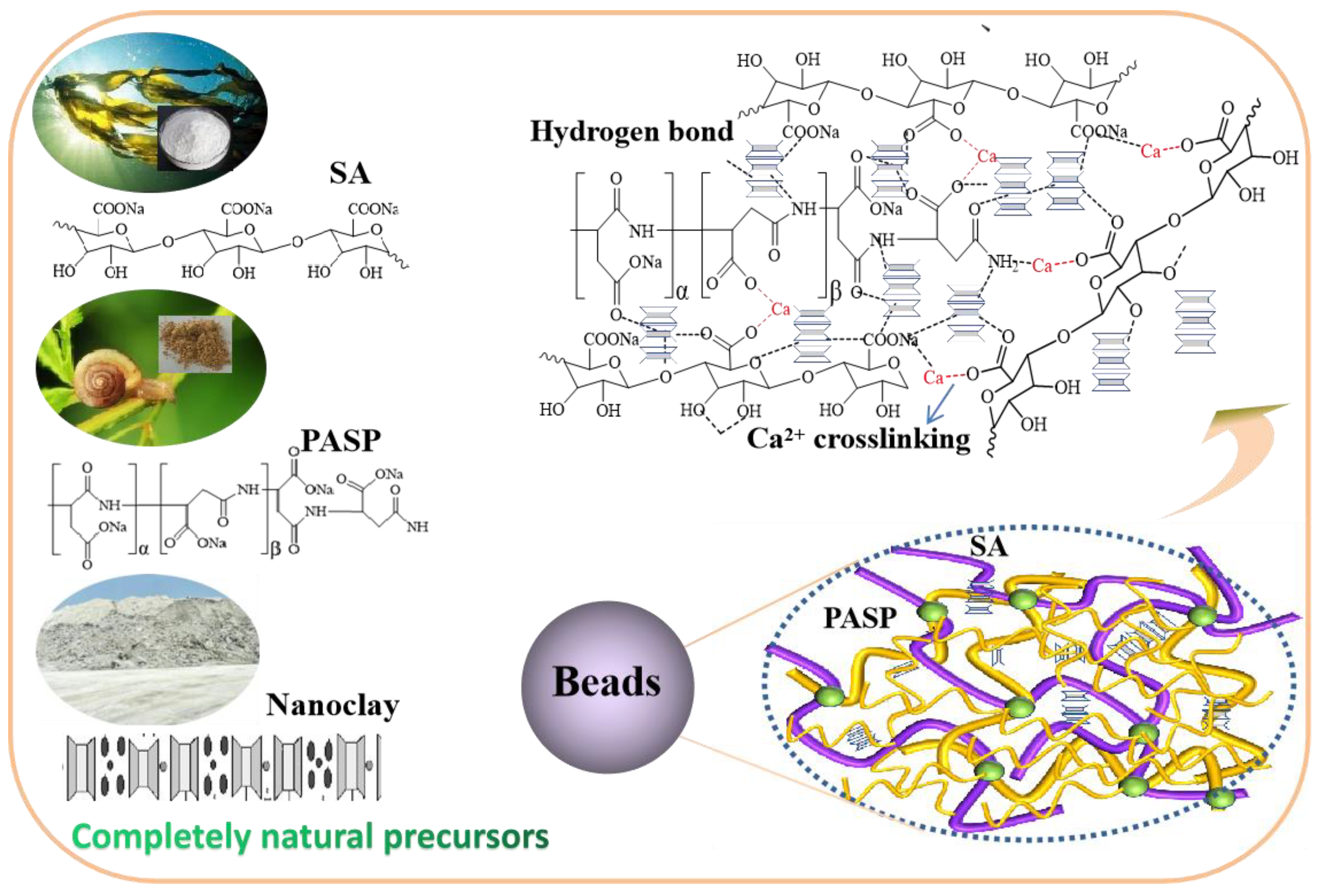 Nanomaterials 14 00766 sch001