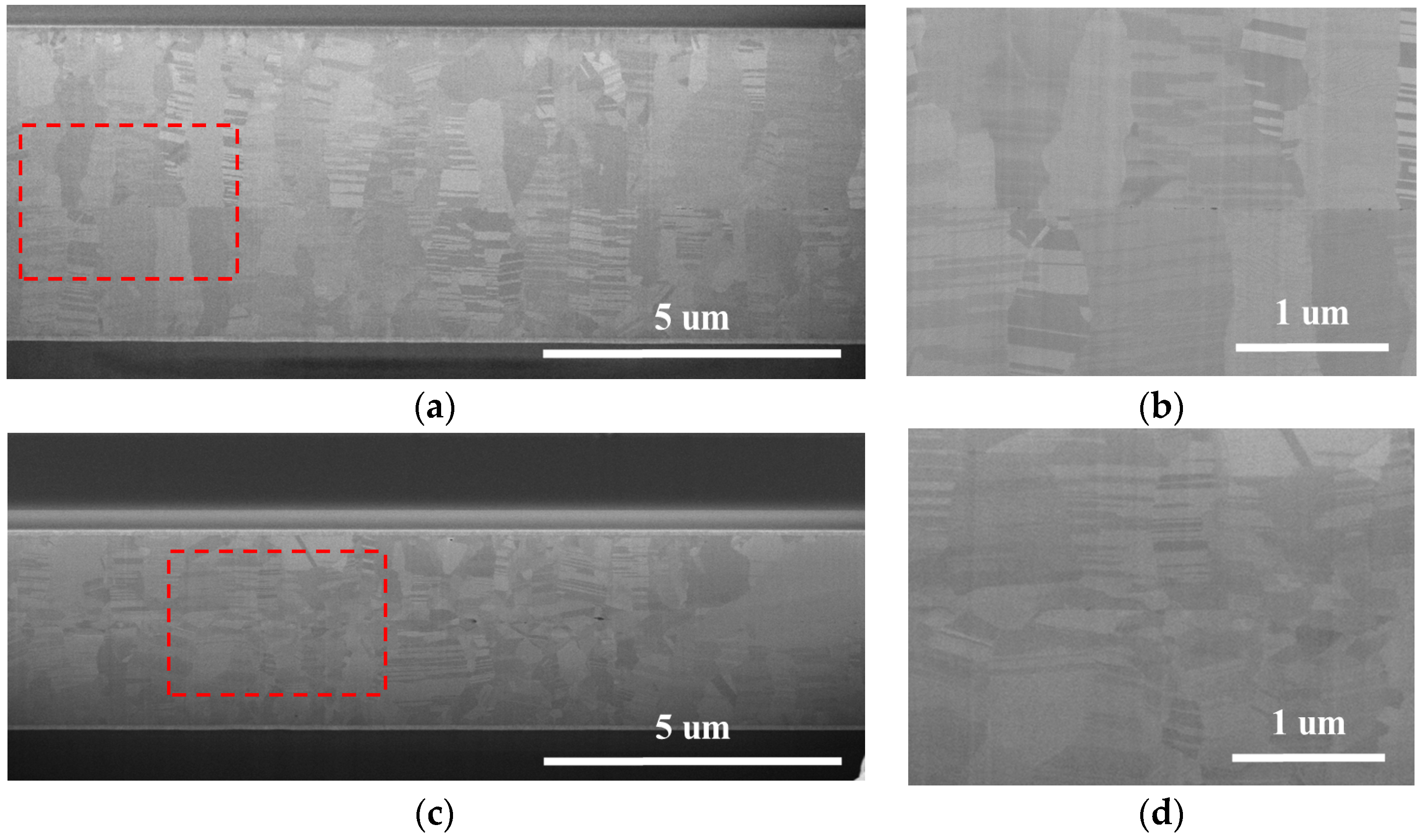 Nanomaterials 14 00771 g006