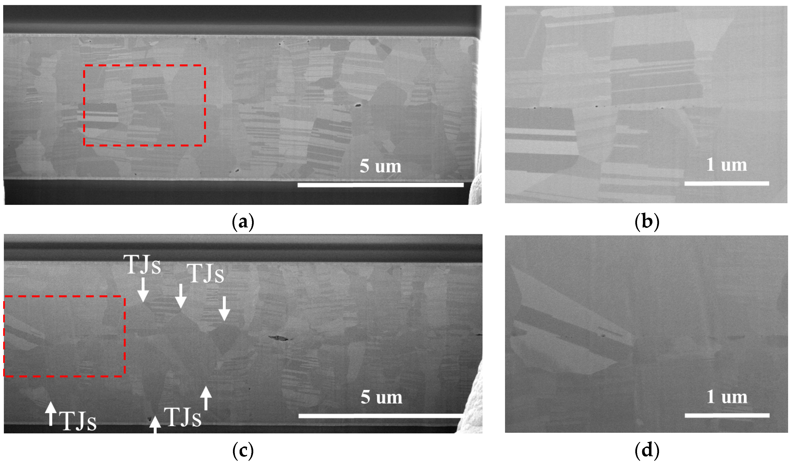 Nanomaterials 14 00771 g007