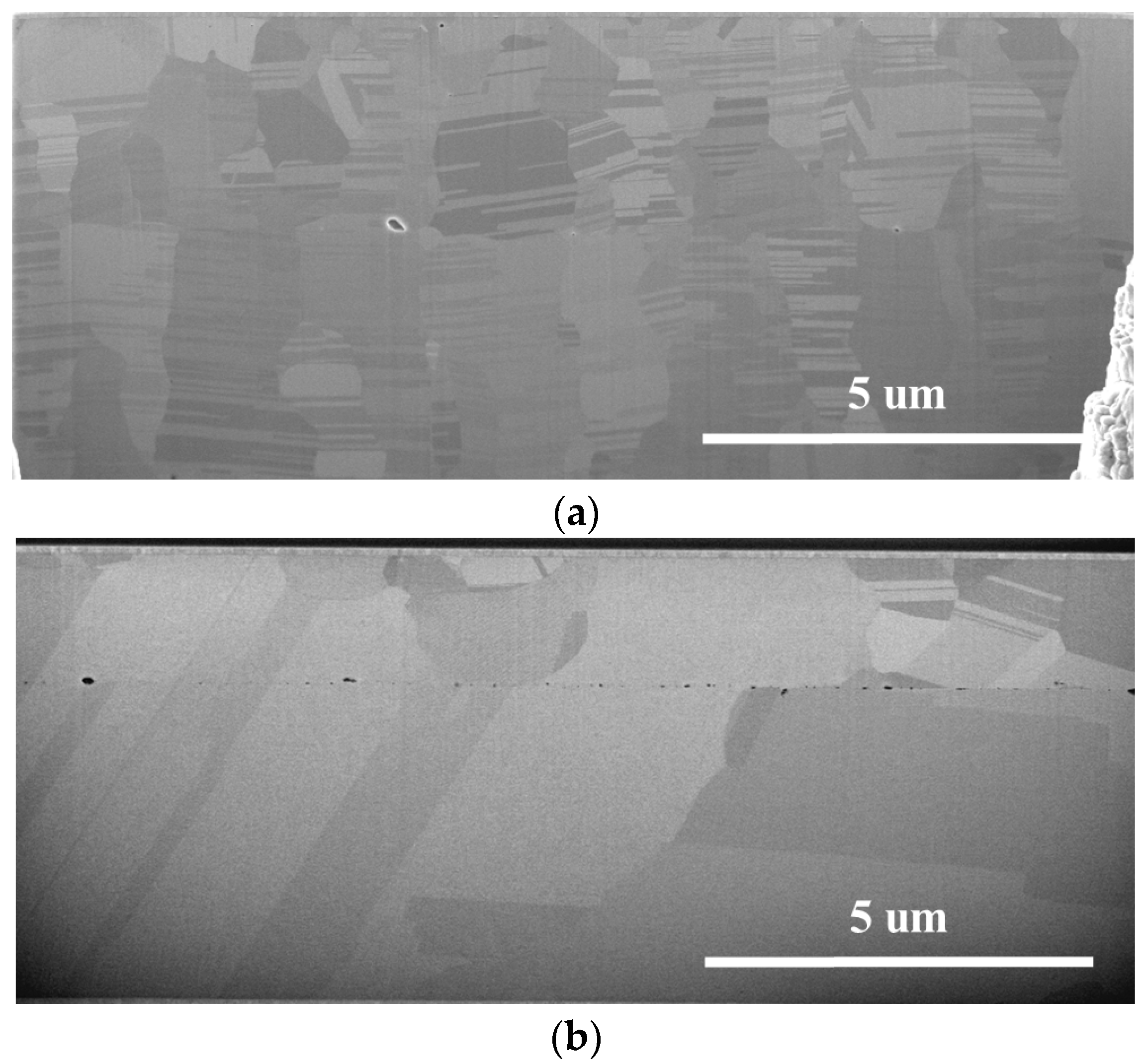Nanomaterials 14 00771 g008