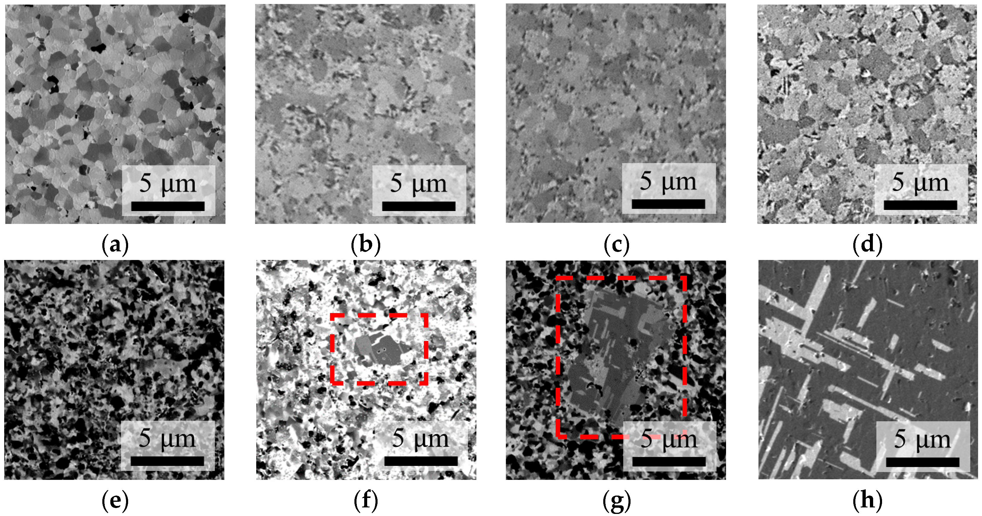 Nanomaterials 14 00771 g011