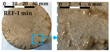 Nanomaterials 14 00776 i002