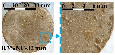 Nanomaterials 14 00776 i006