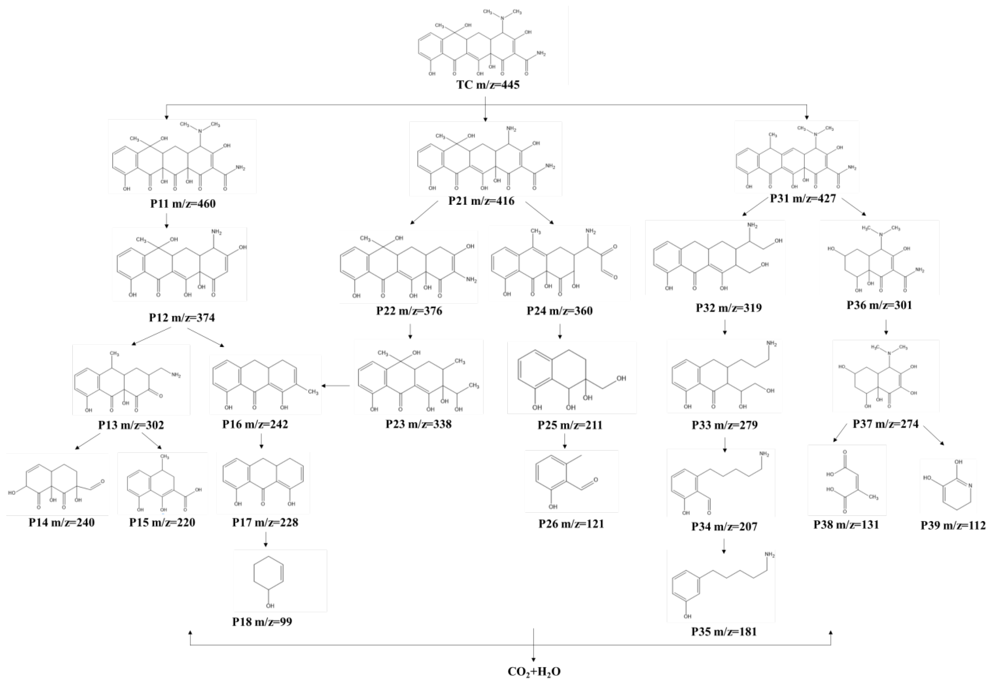 Nanomaterials 14 00786 g008