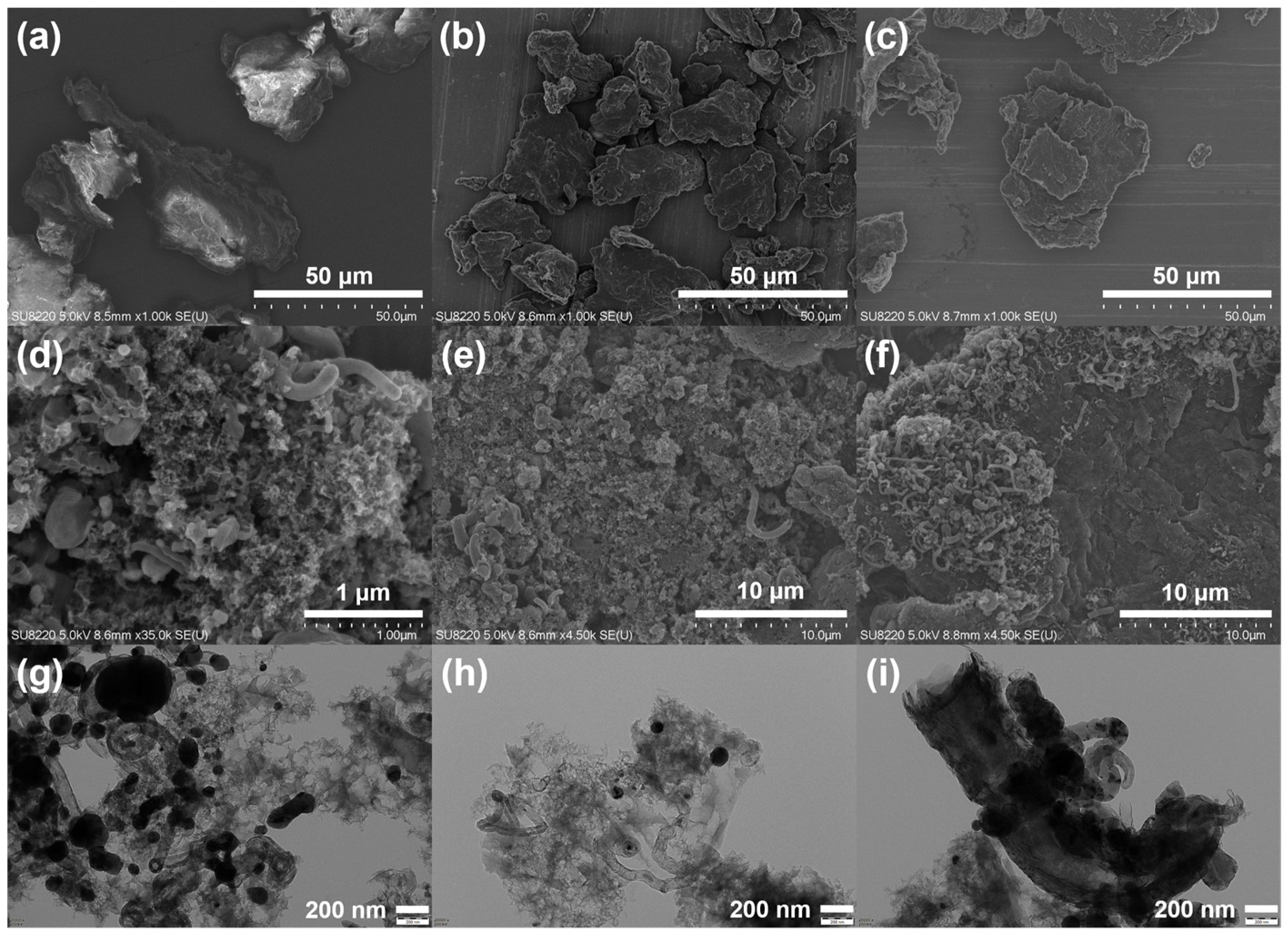 Nanomaterials 14 00788 g002