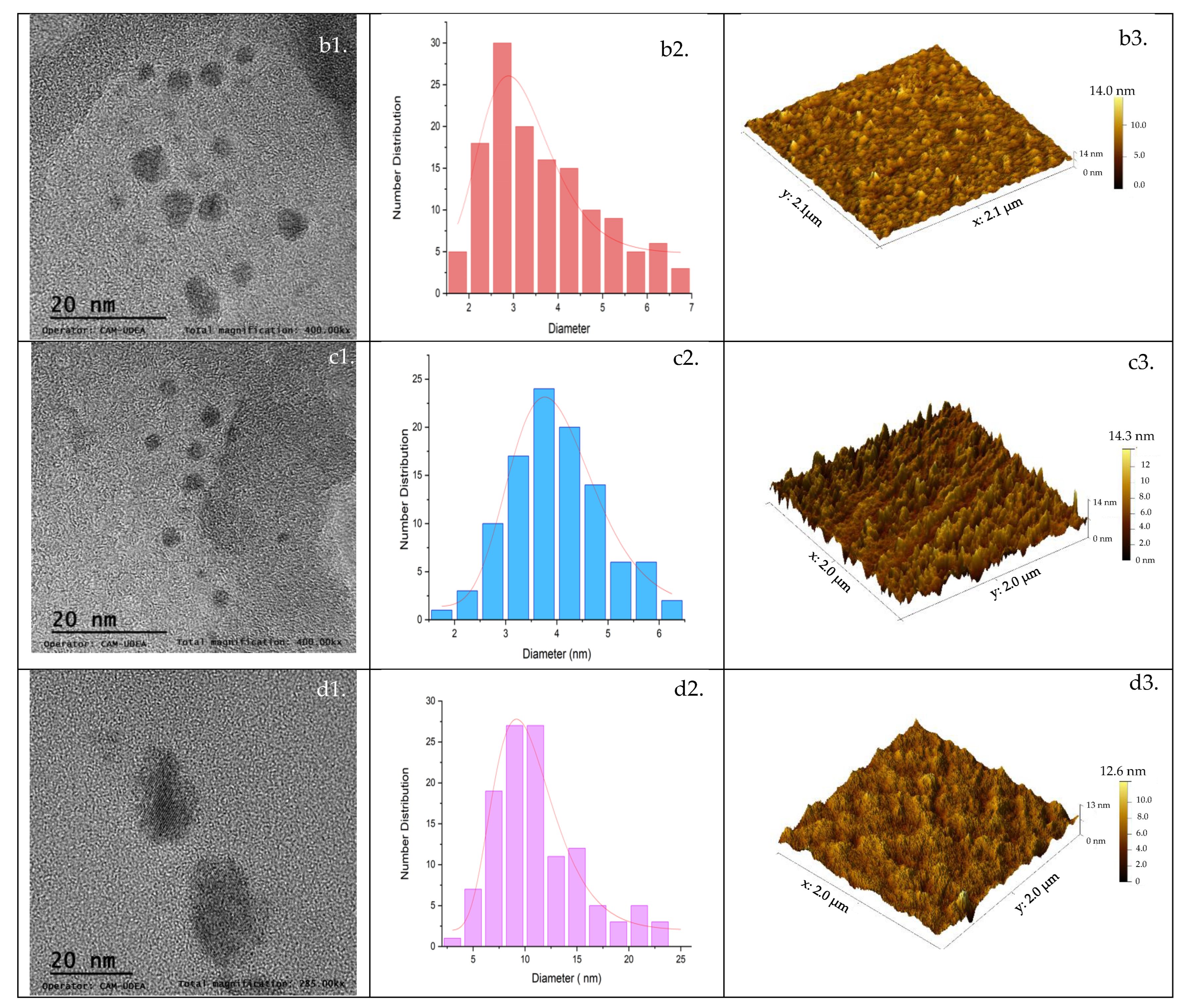 Nanomaterials 14 00789 g003b