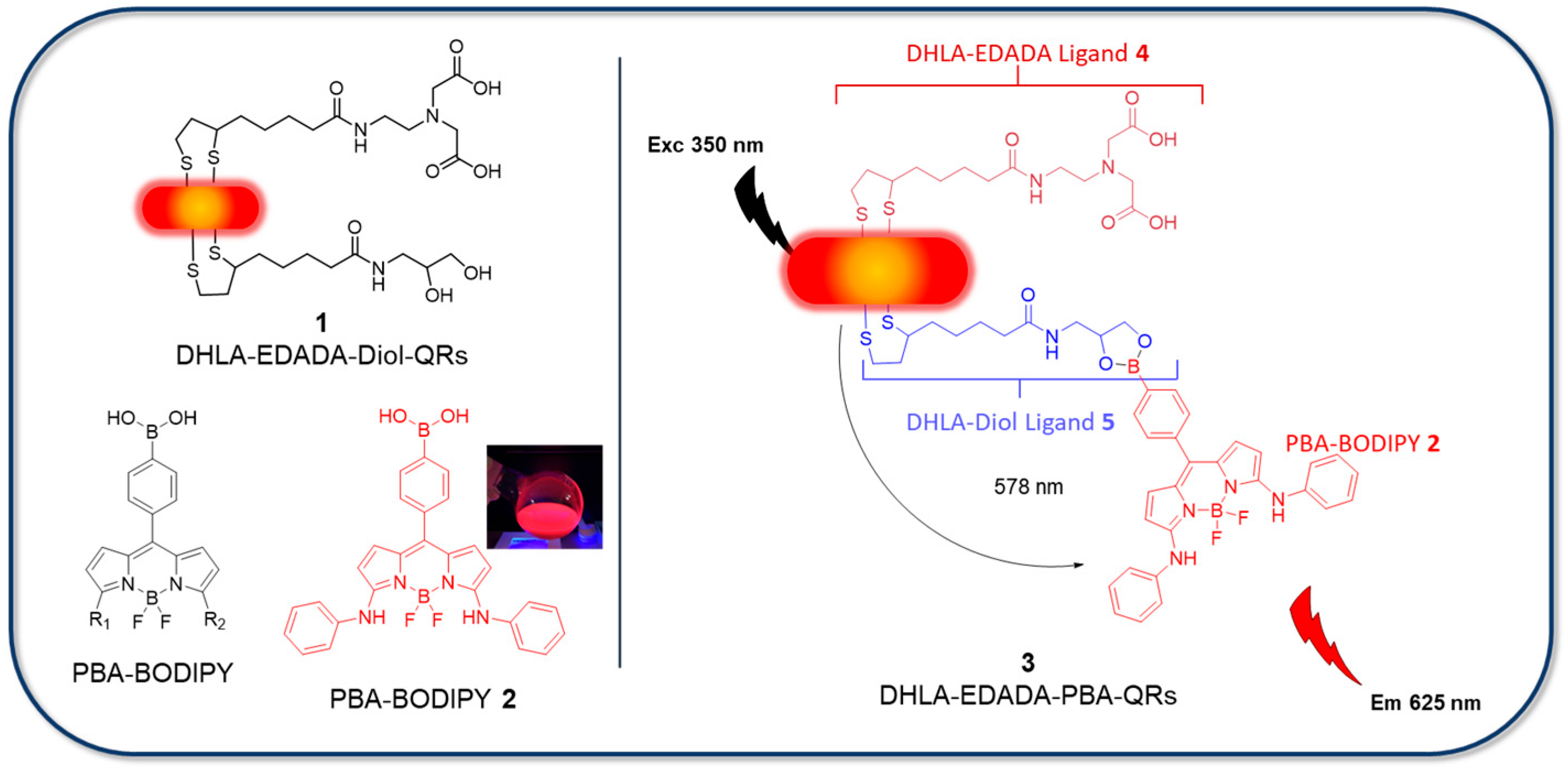 Nanomaterials 14 00794 g001