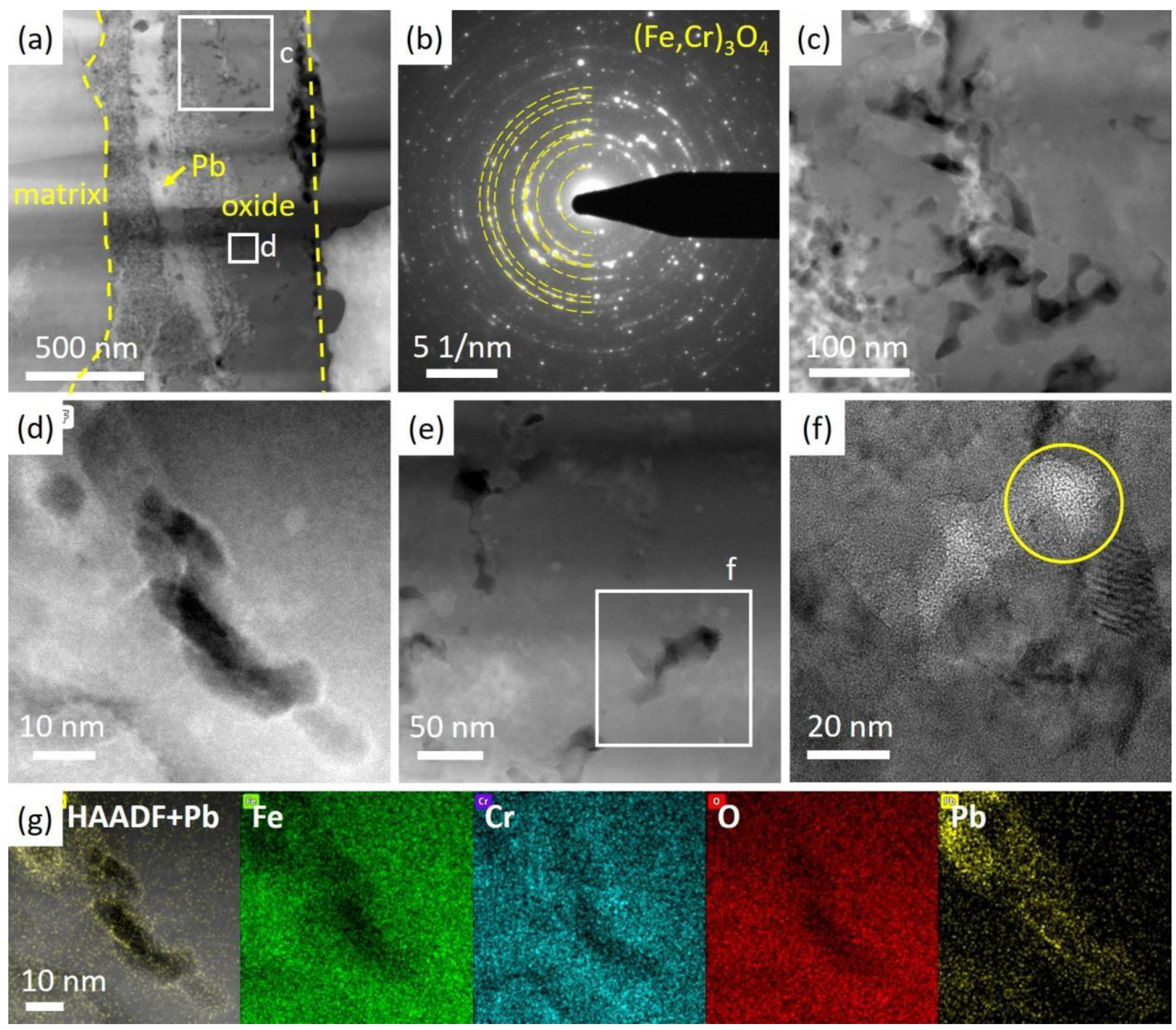 Nanomaterials 14 00798 g006