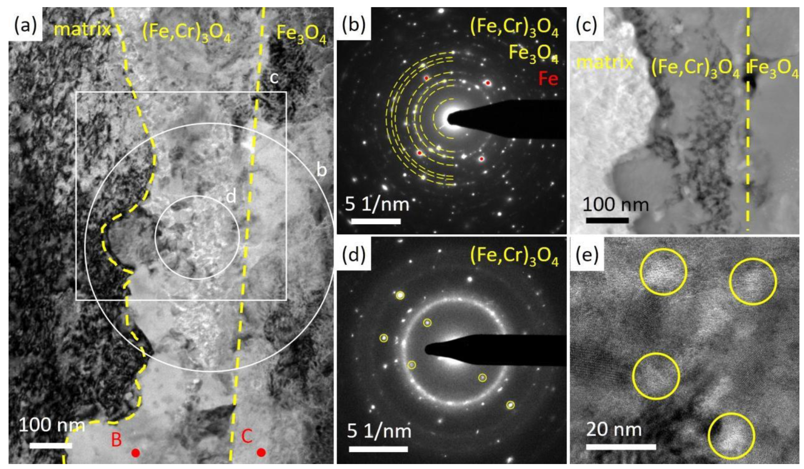 Nanomaterials 14 00798 g009