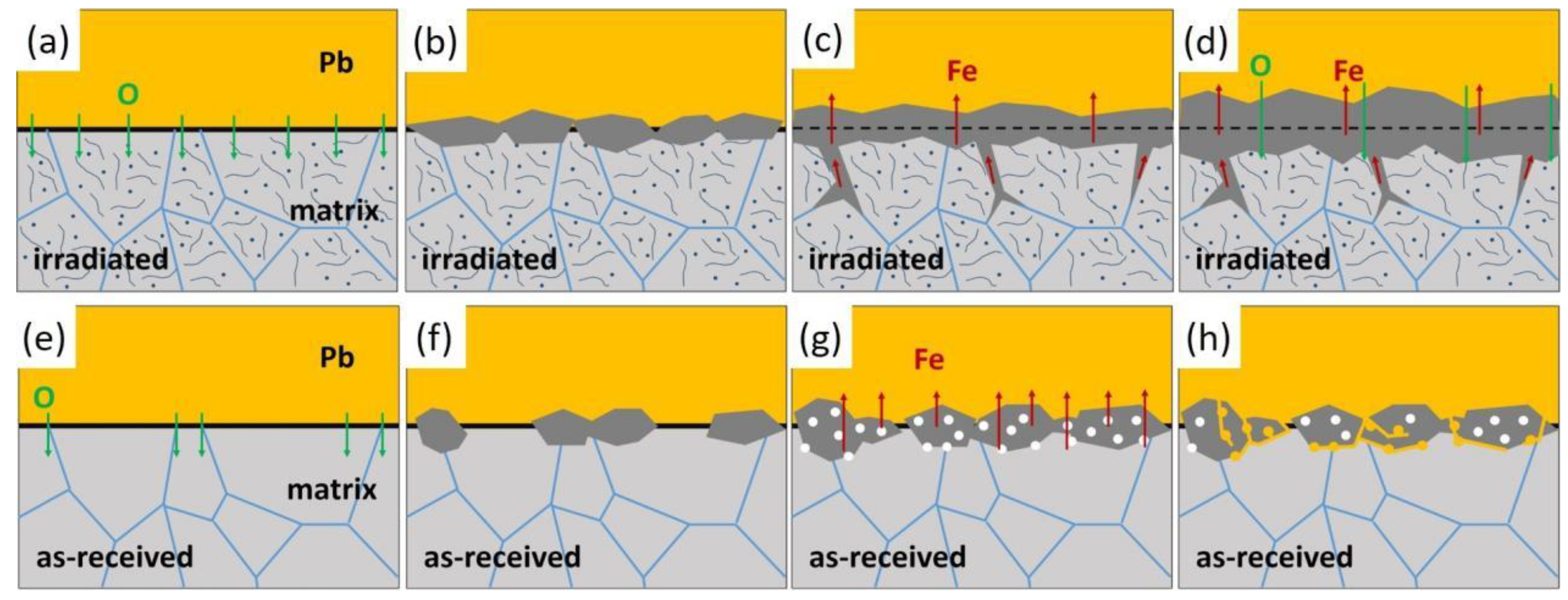 Nanomaterials 14 00798 g012
