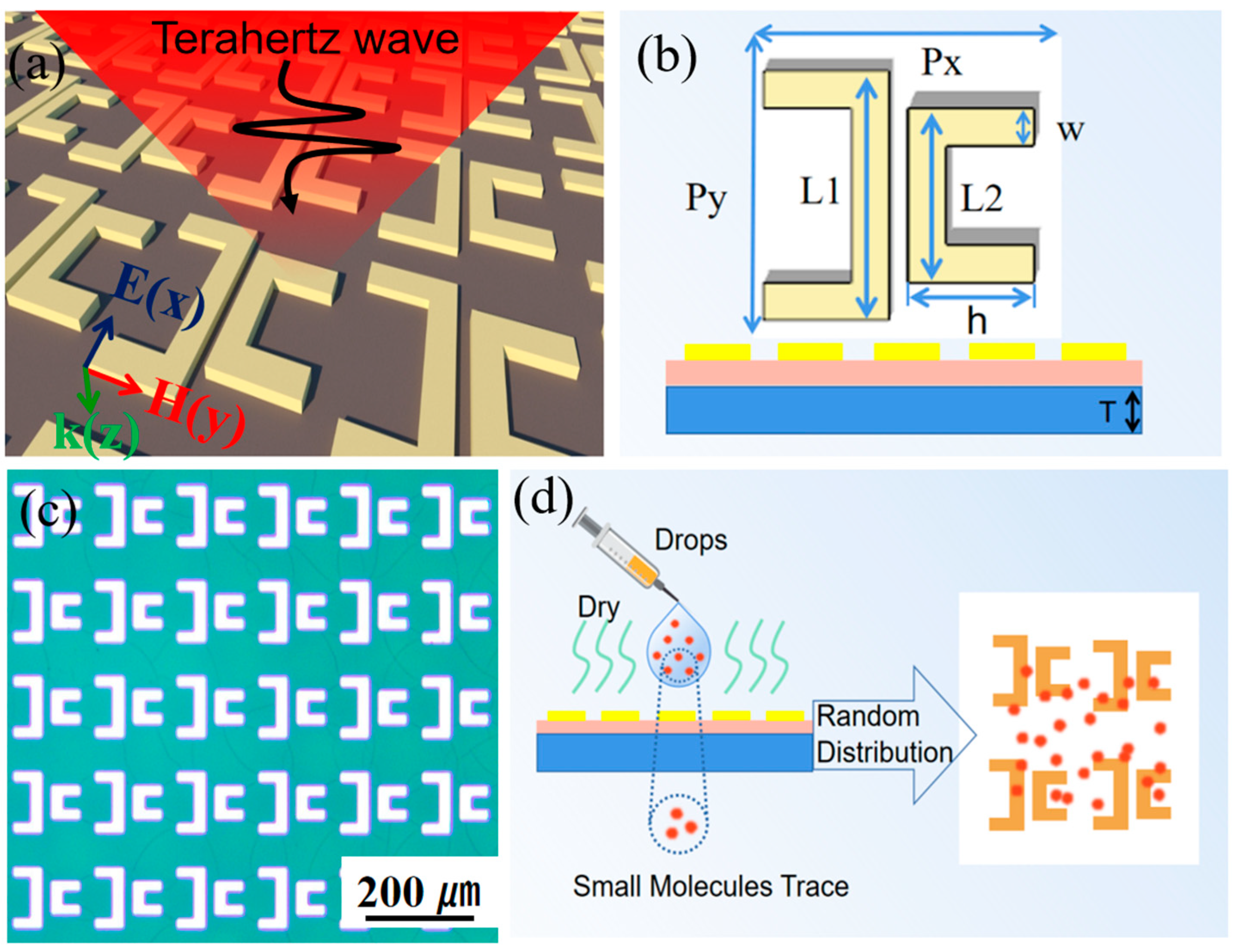 Nanomaterials 14 00799 g001