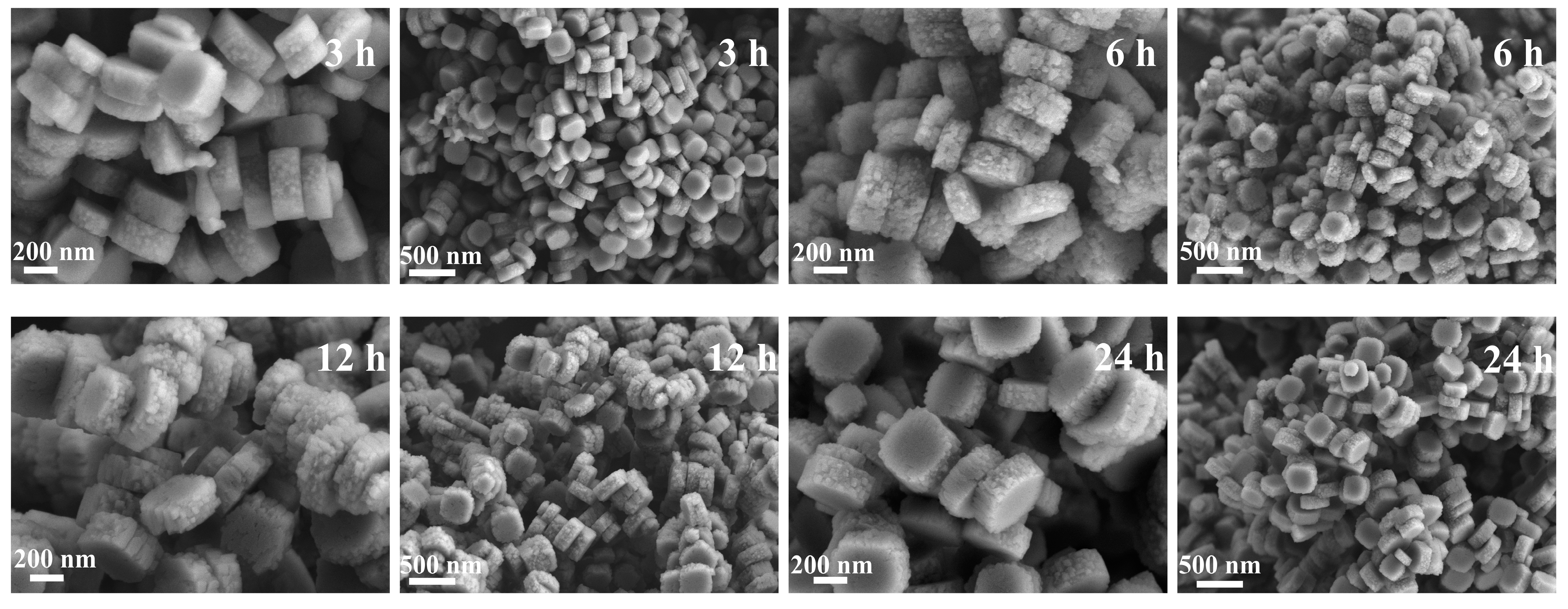 Nanomaterials 14 00802 g009