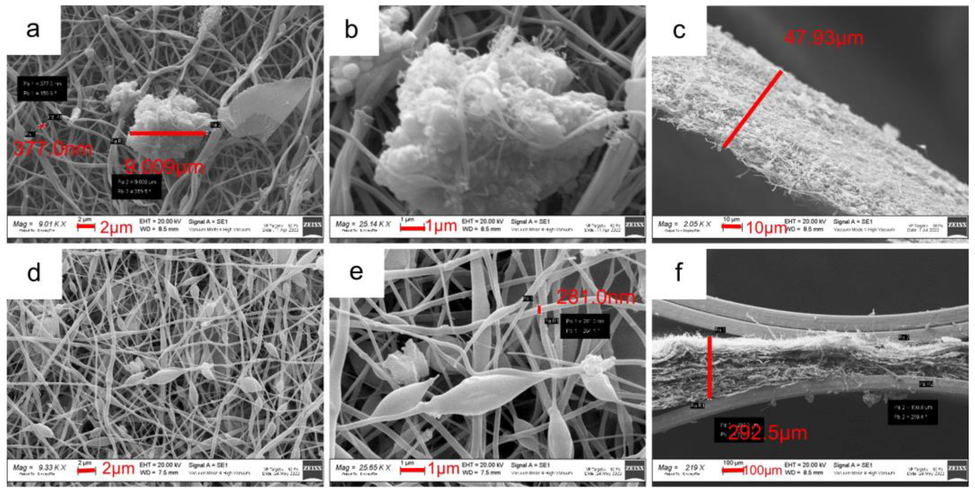 Nanomaterials 14 00804 g003