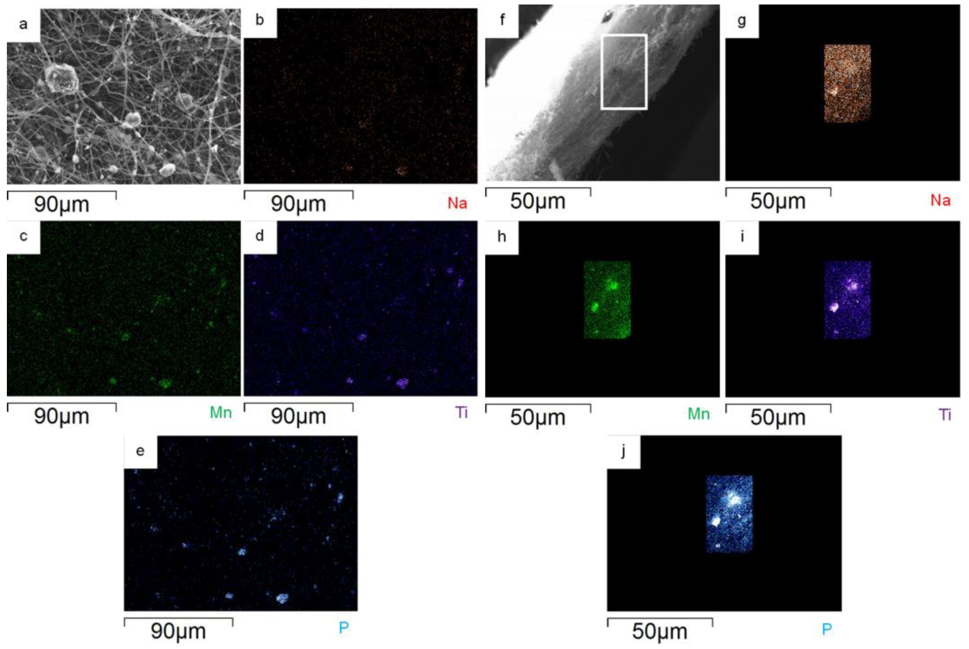 Nanomaterials 14 00804 g005