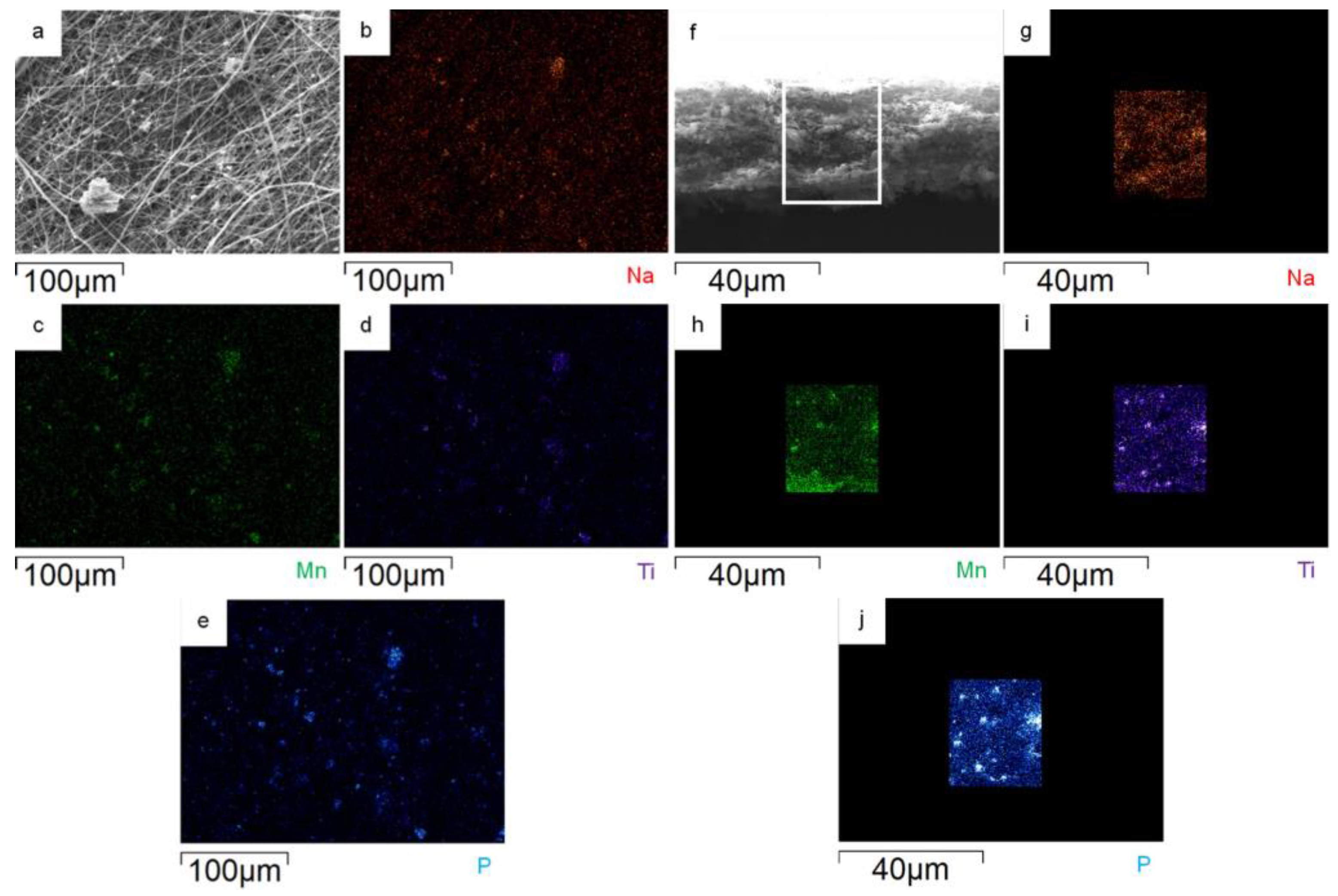Nanomaterials 14 00804 g006