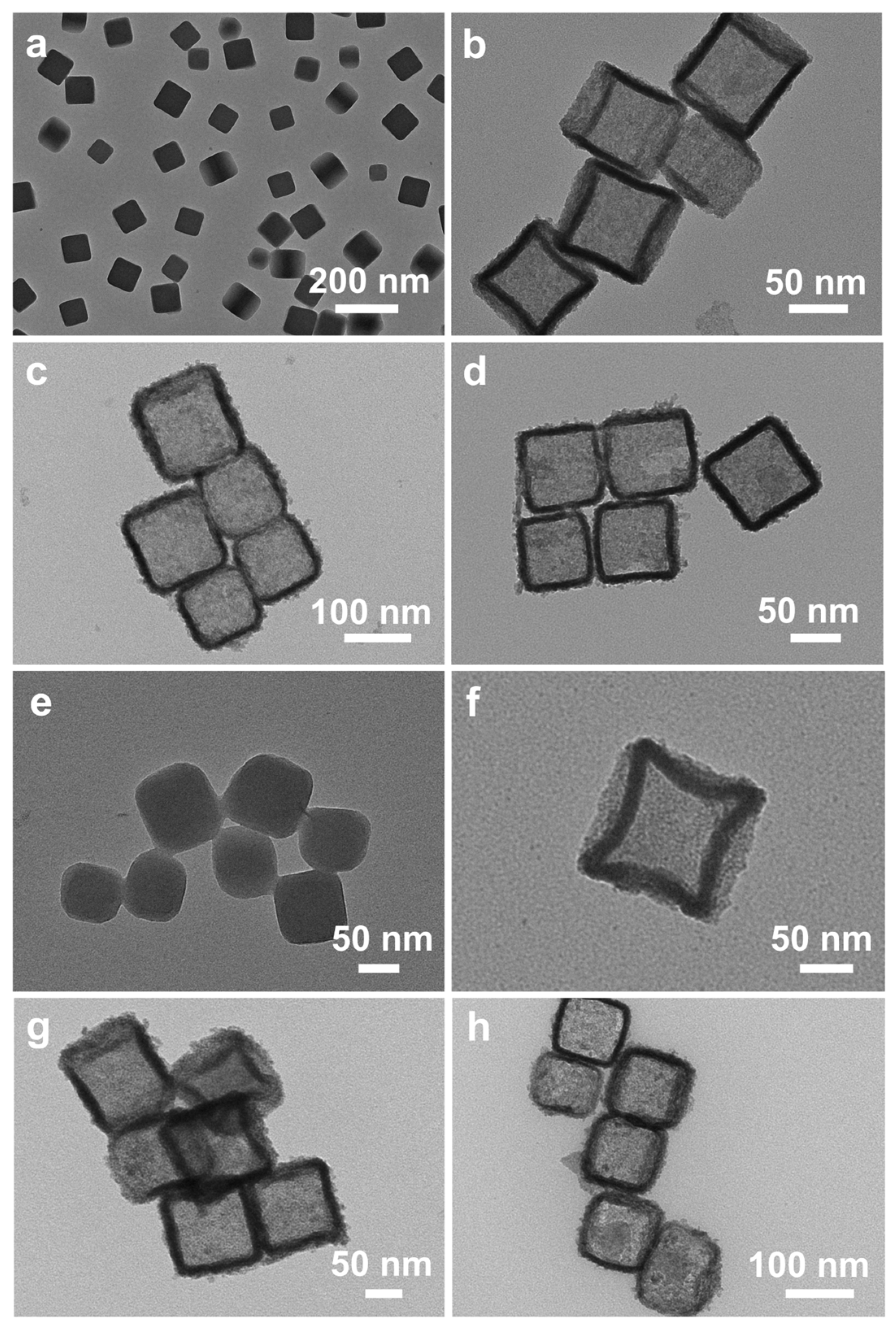 Nanomaterials 14 00808 g001