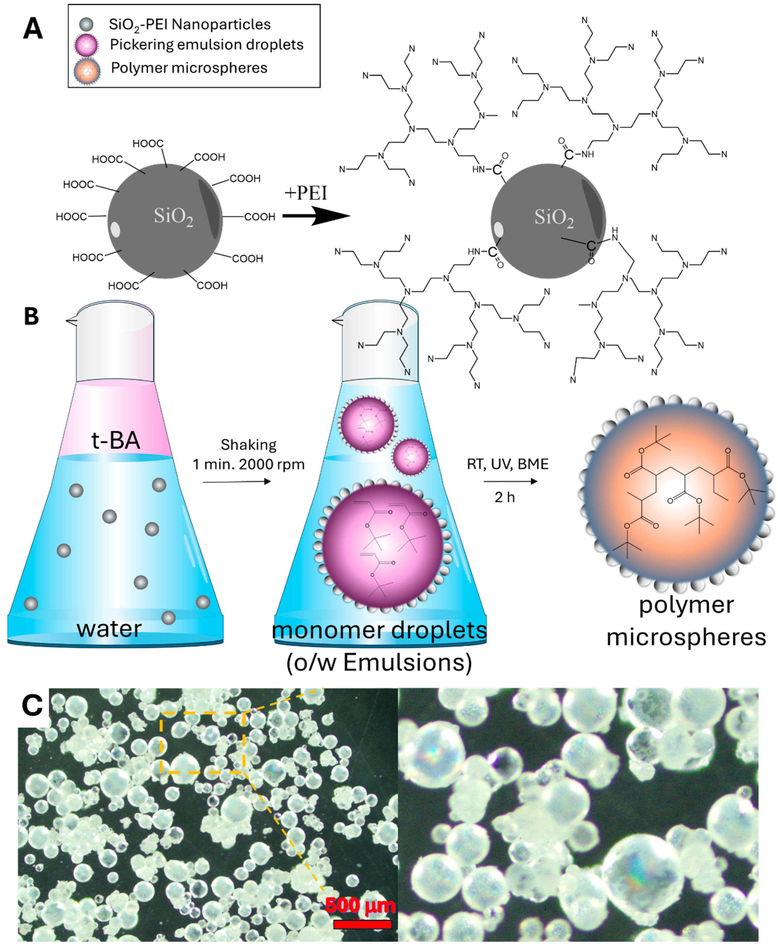 Nanomaterials 14 00809 g003