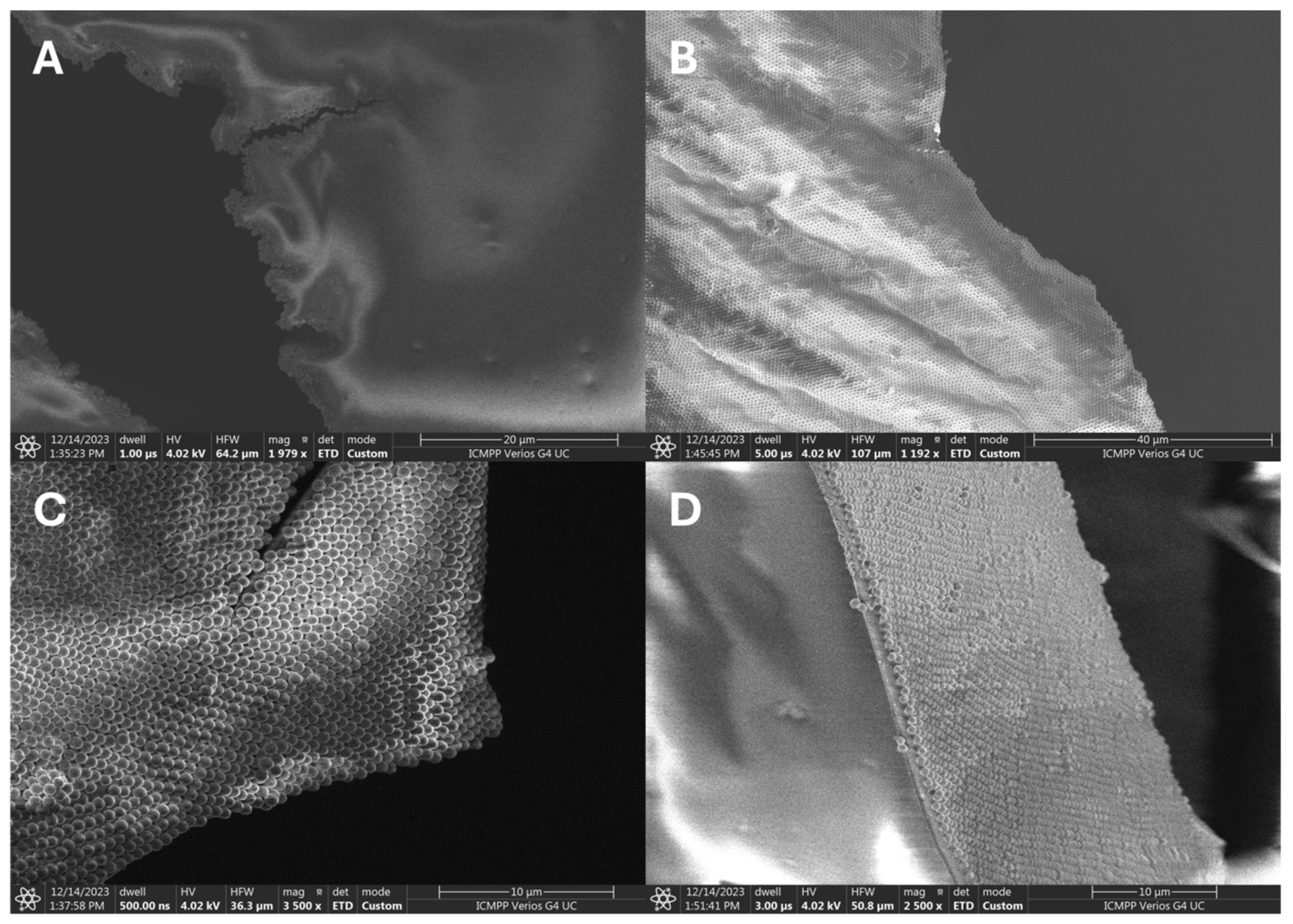 Nanomaterials 14 00809 g006