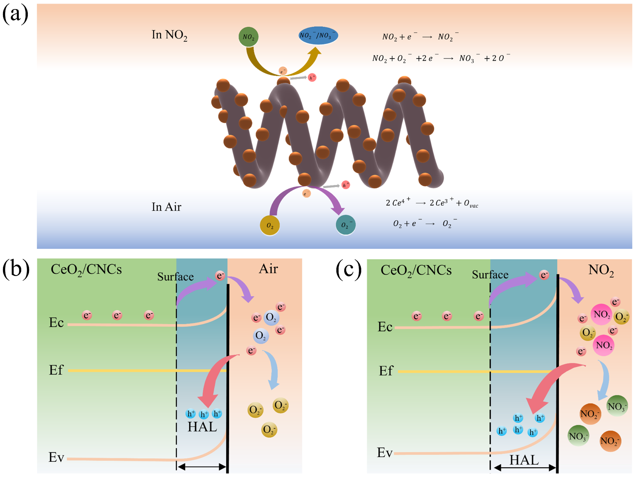 サンプル2 Microwave-Solvothermal Synthesis of Mesoporous CeO2/CNCs