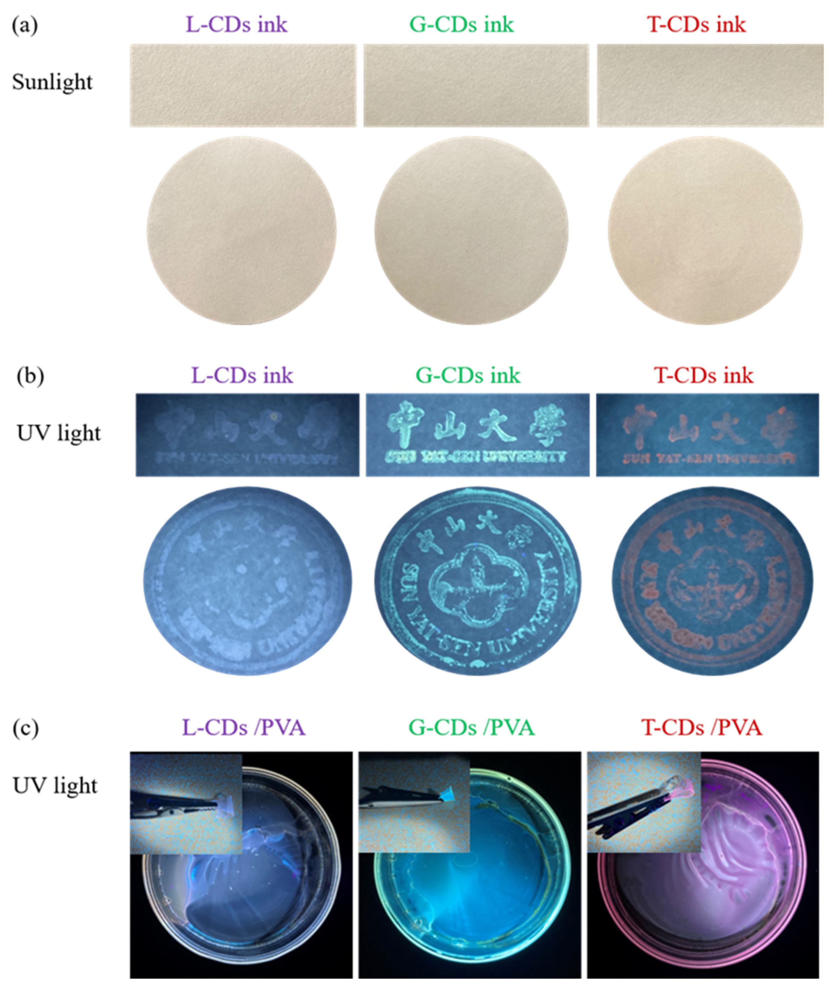 Nanomaterials 14 00813 g006