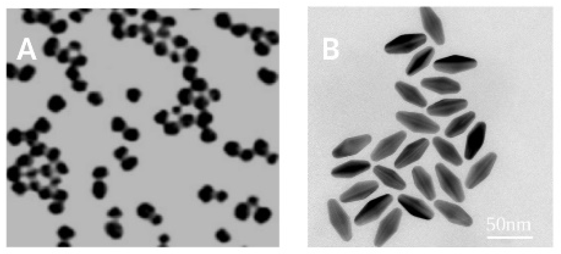 Nanomaterials 14 00820 g001