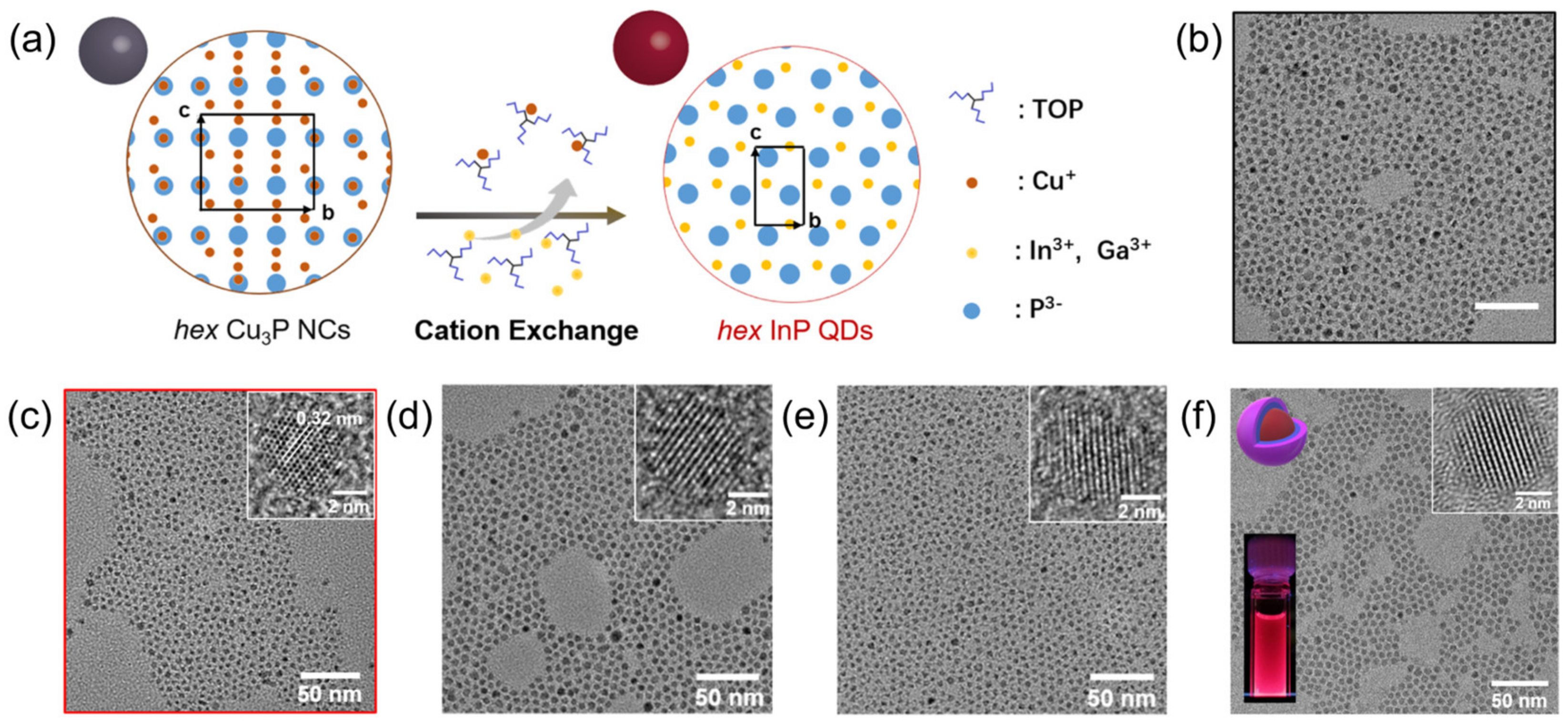 Nanomaterials 14 00832 g001