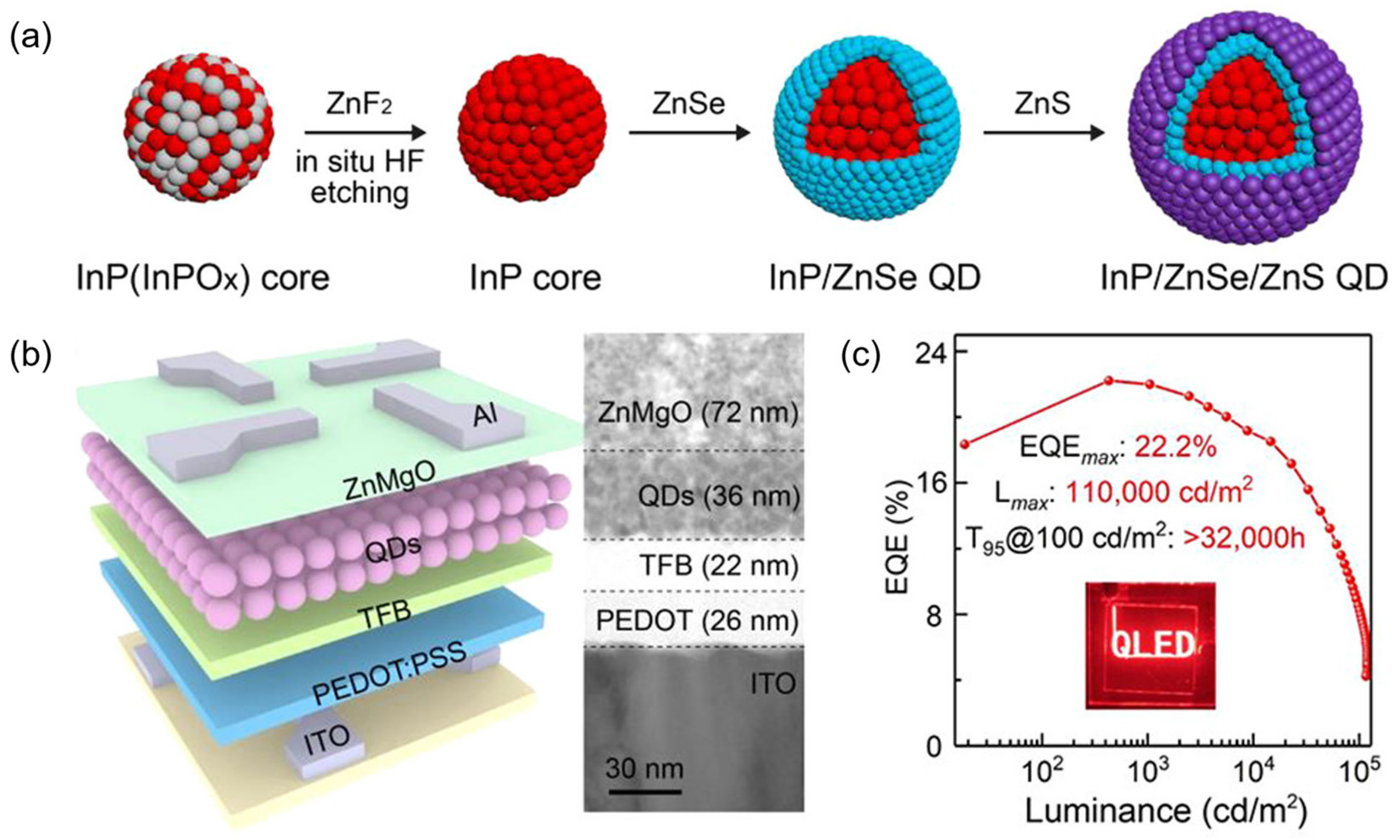 Nanomaterials 14 00832 g002