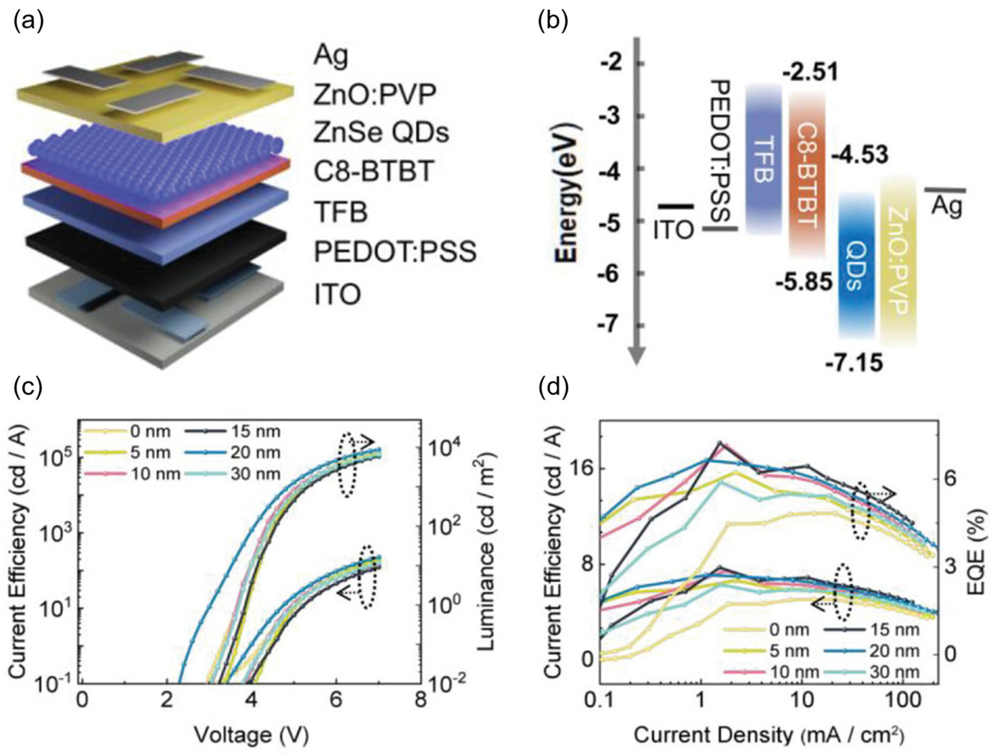 Nanomaterials 14 00832 g006