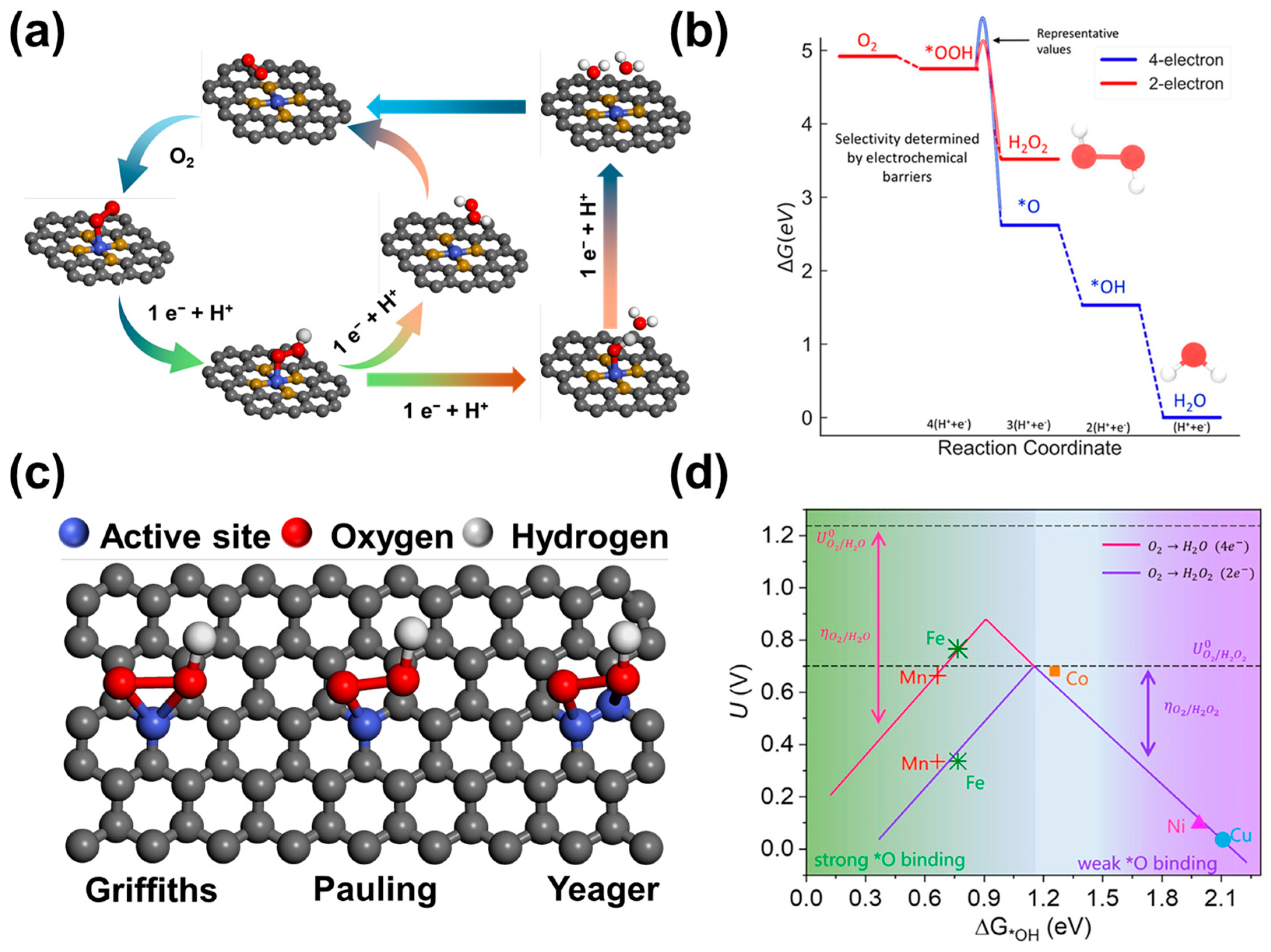 Nanomaterials 14 00835 g001