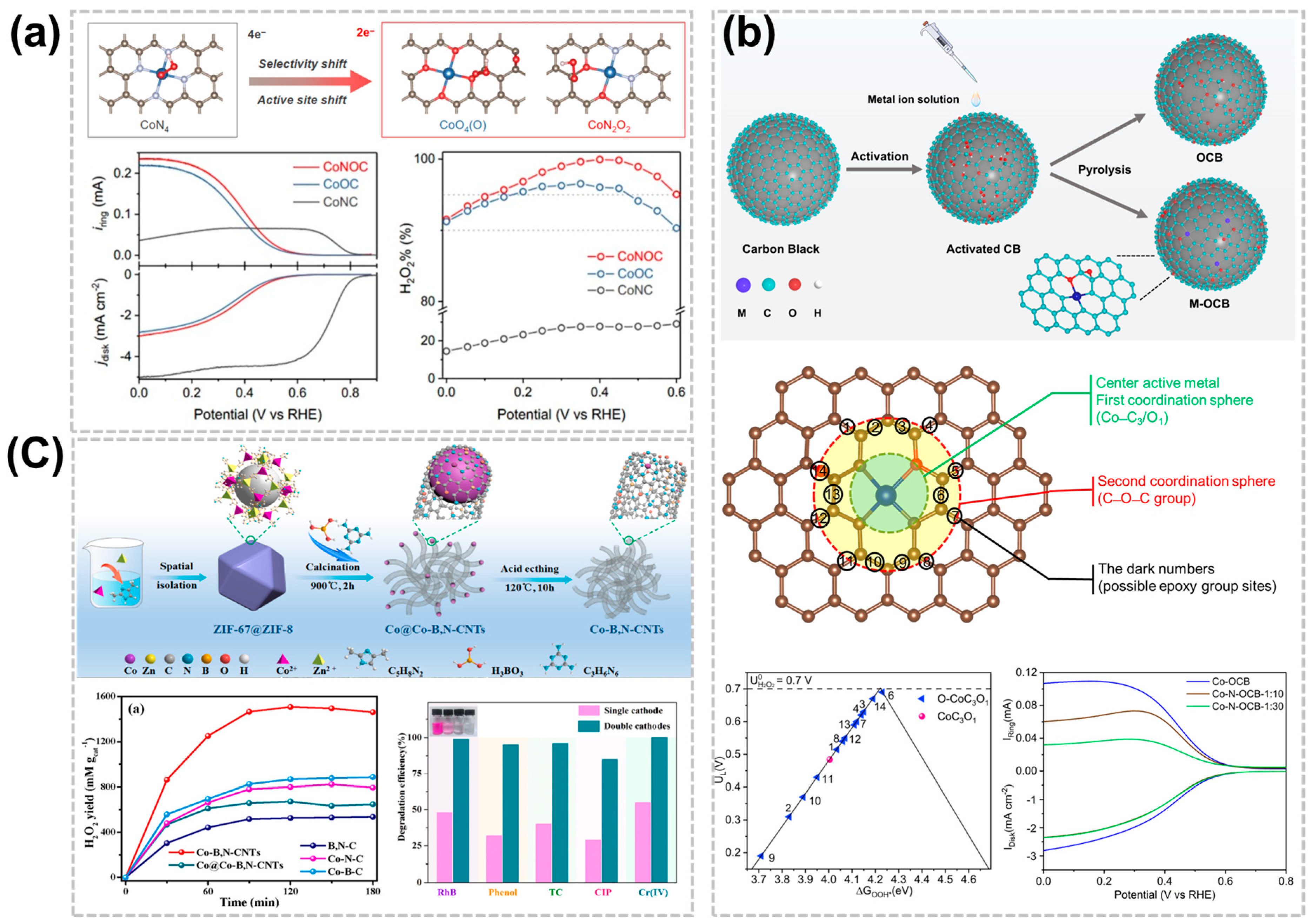 Nanomaterials 14 00835 g004
