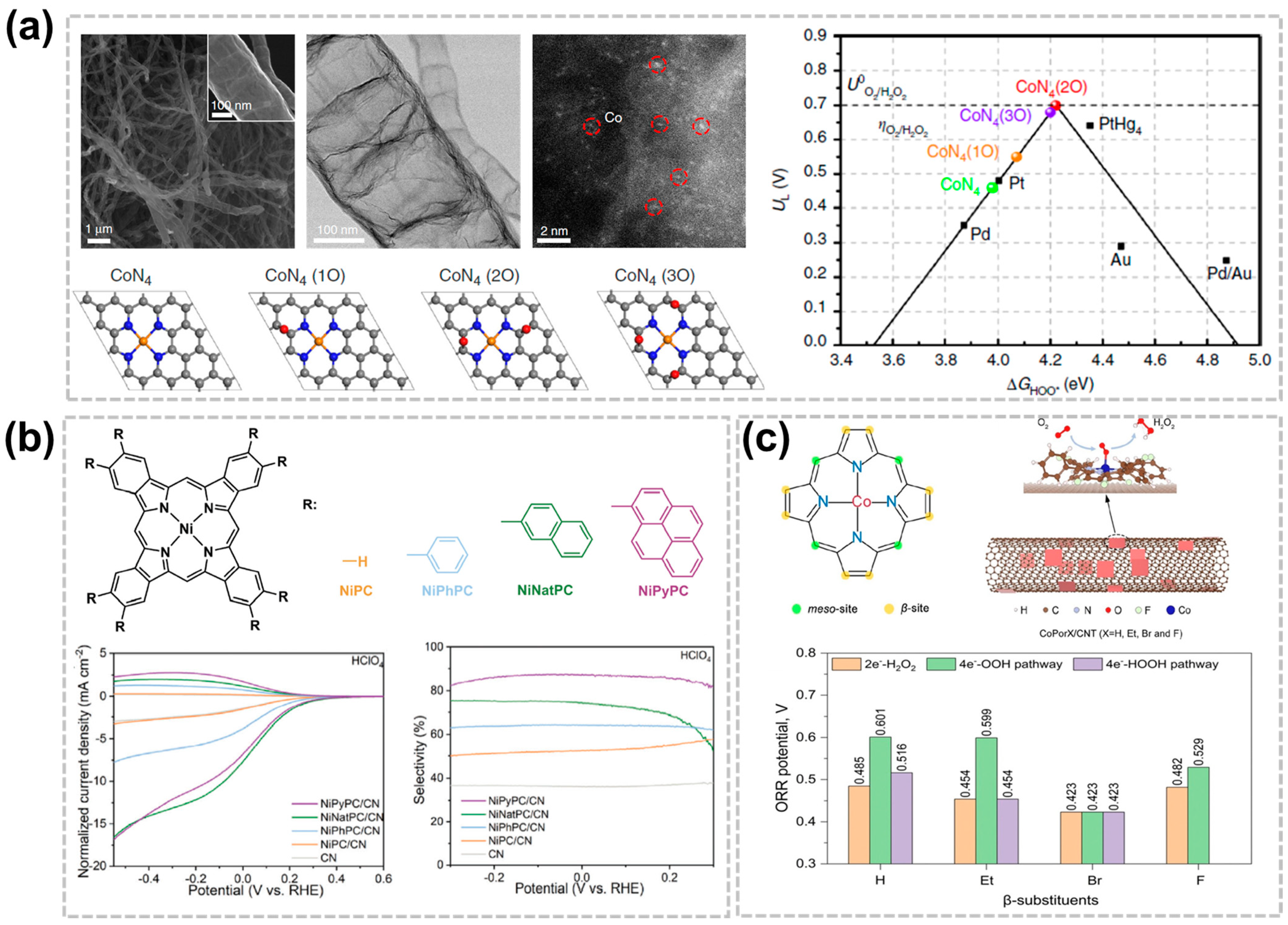 Nanomaterials 14 00835 g005