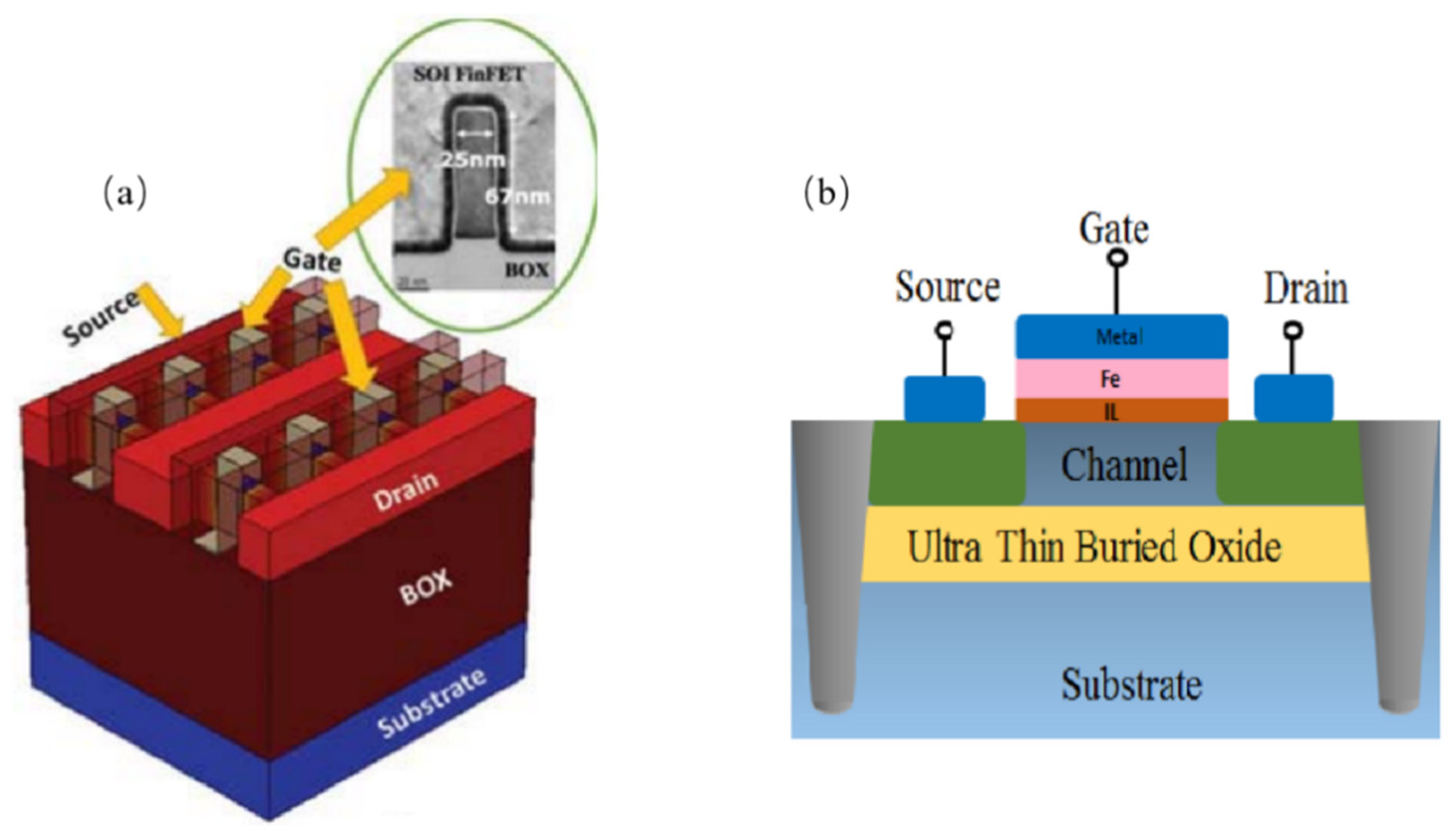 Nanomaterials 14 00837 g010