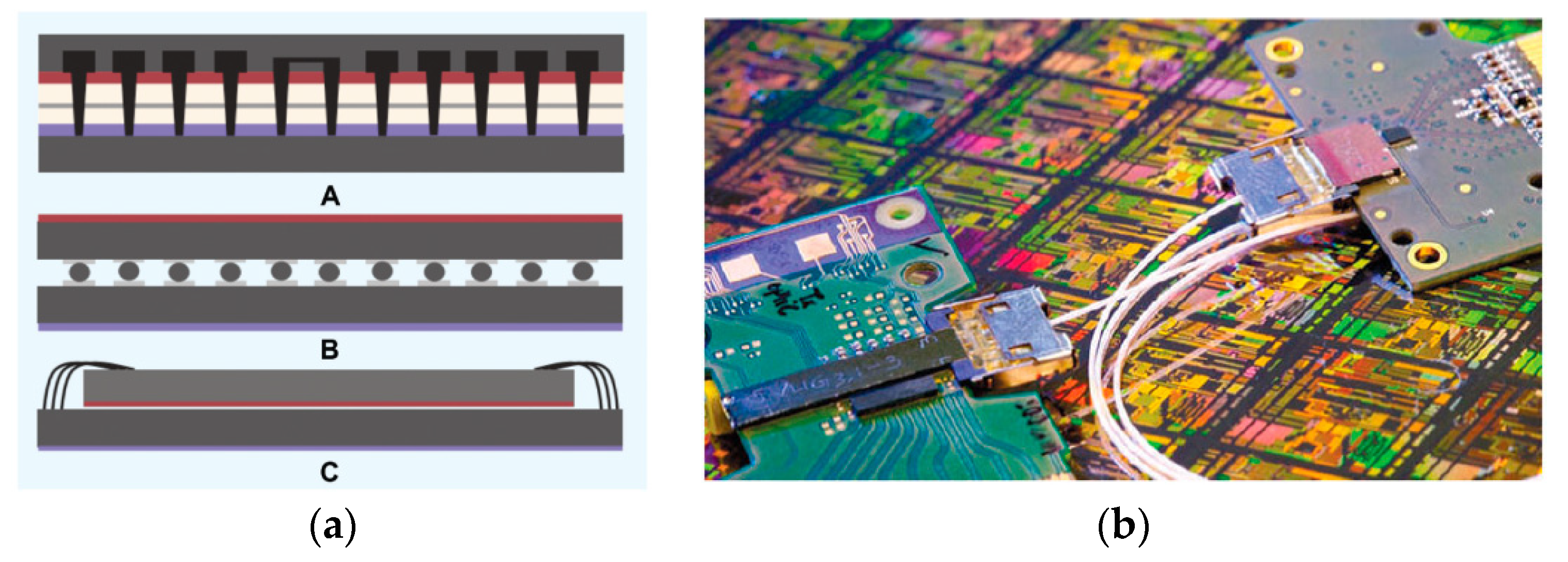 Nanomaterials 14 00837 g041