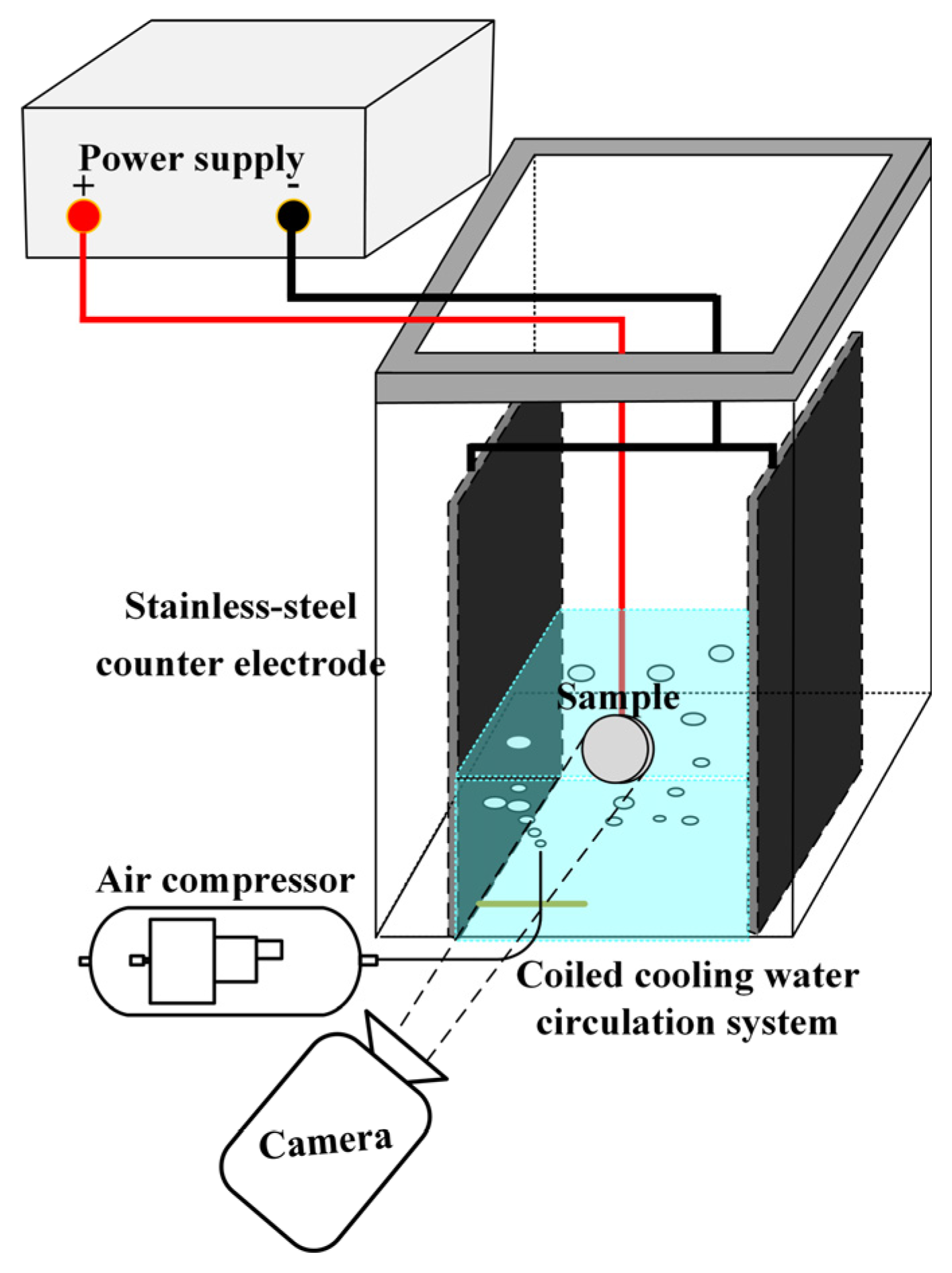 Nanomaterials 14 00842 g001