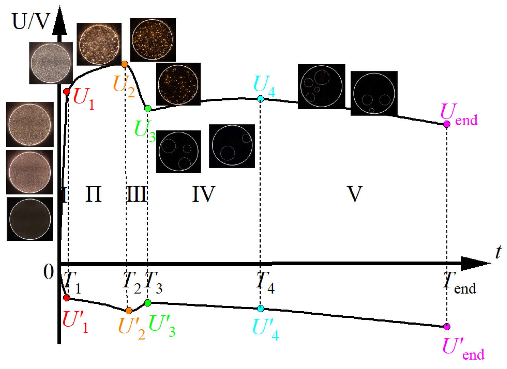 Nanomaterials 14 00842 g002