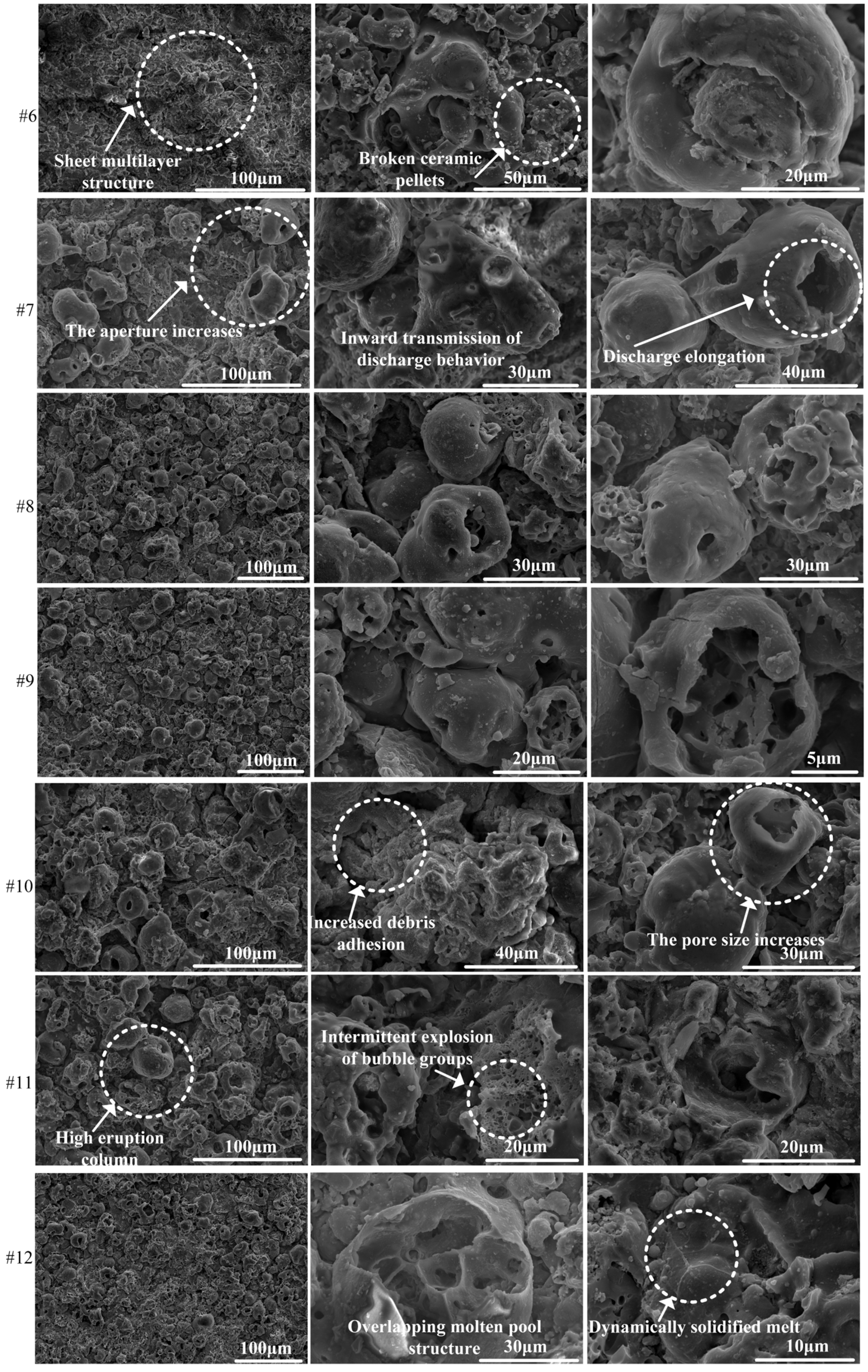 Nanomaterials 14 00842 g007b