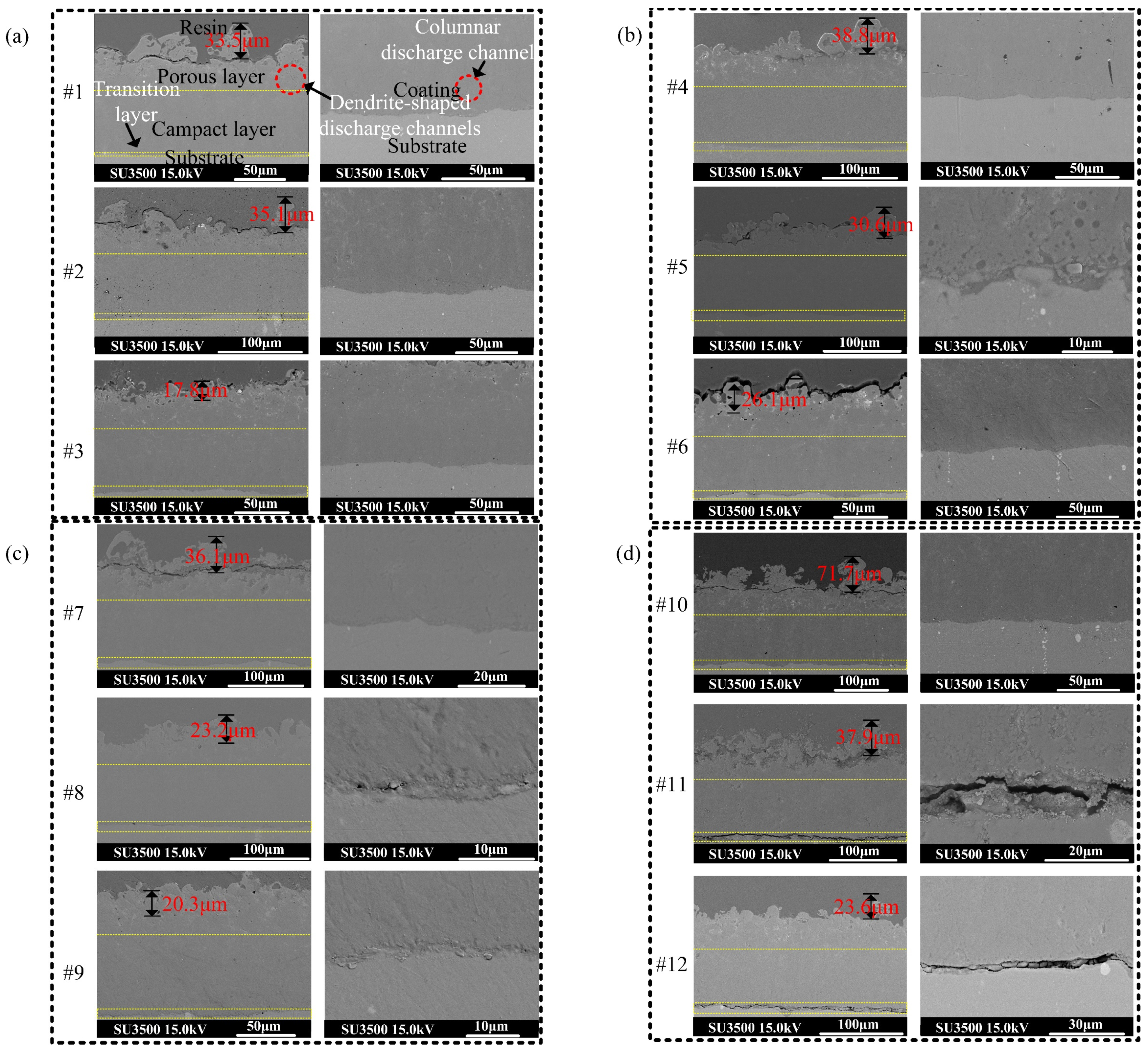 Nanomaterials 14 00842 g014