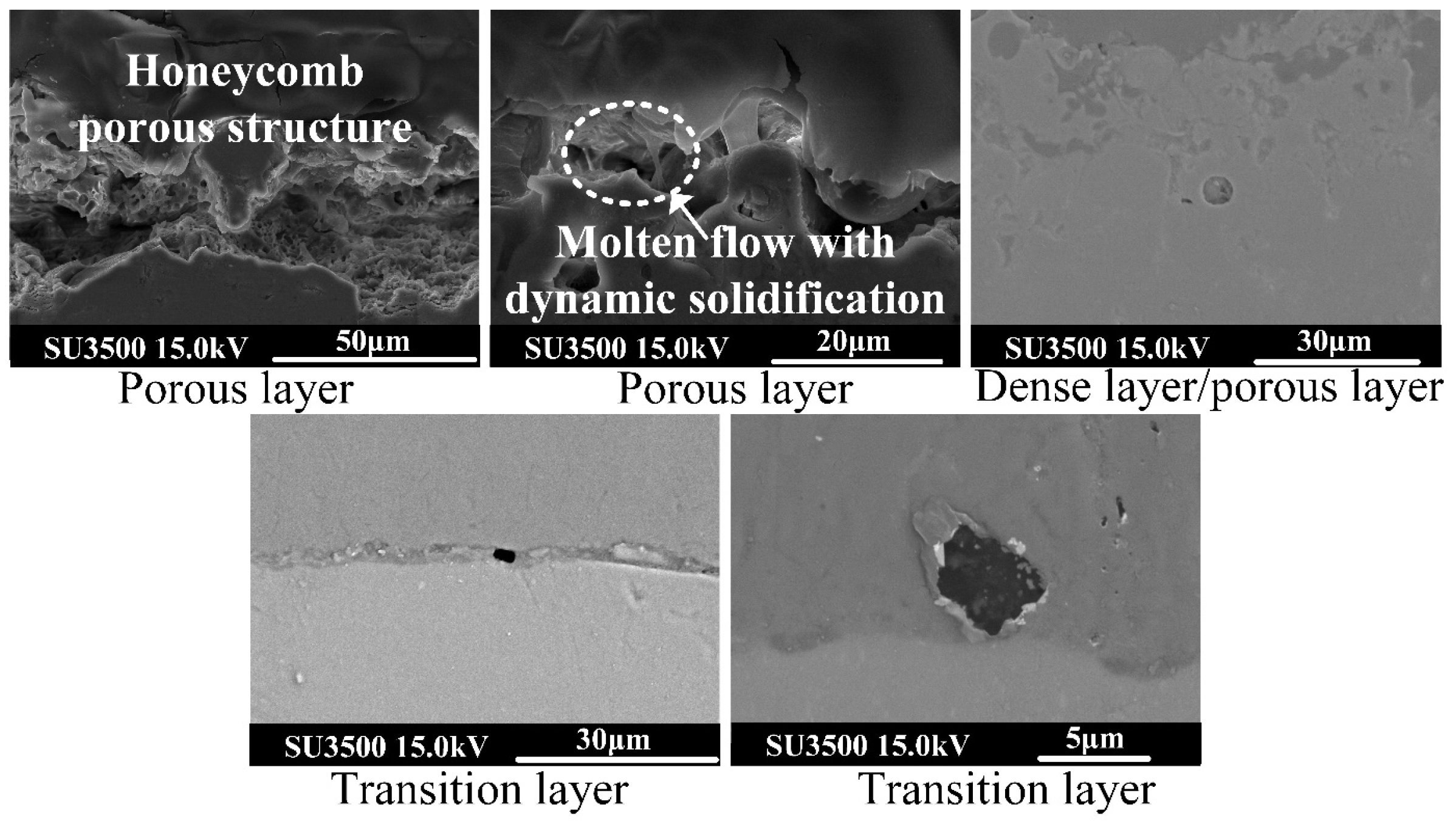 Nanomaterials 14 00842 g015