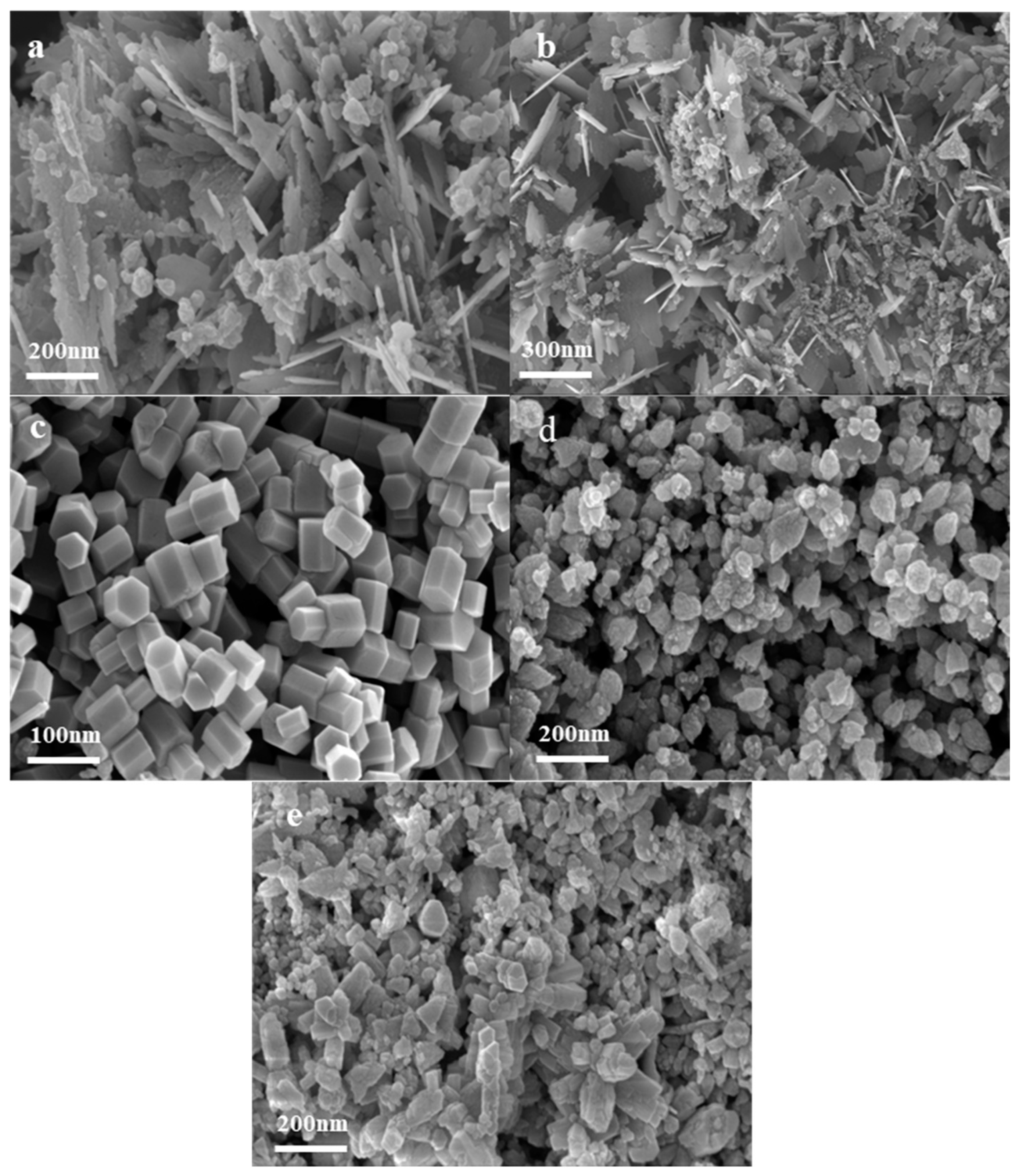 Nanomaterials 14 00844 g010