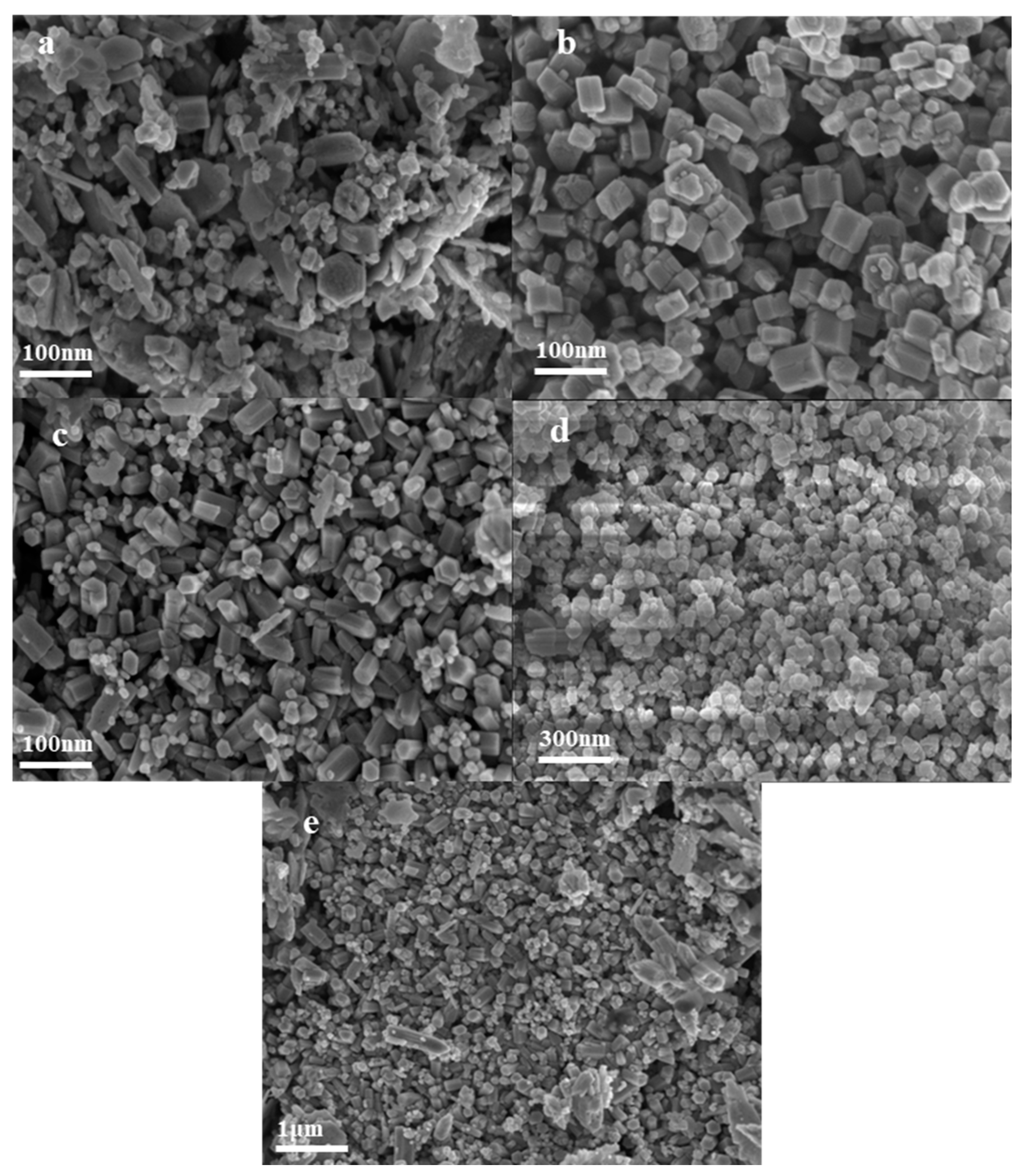Nanomaterials 14 00844 g012
