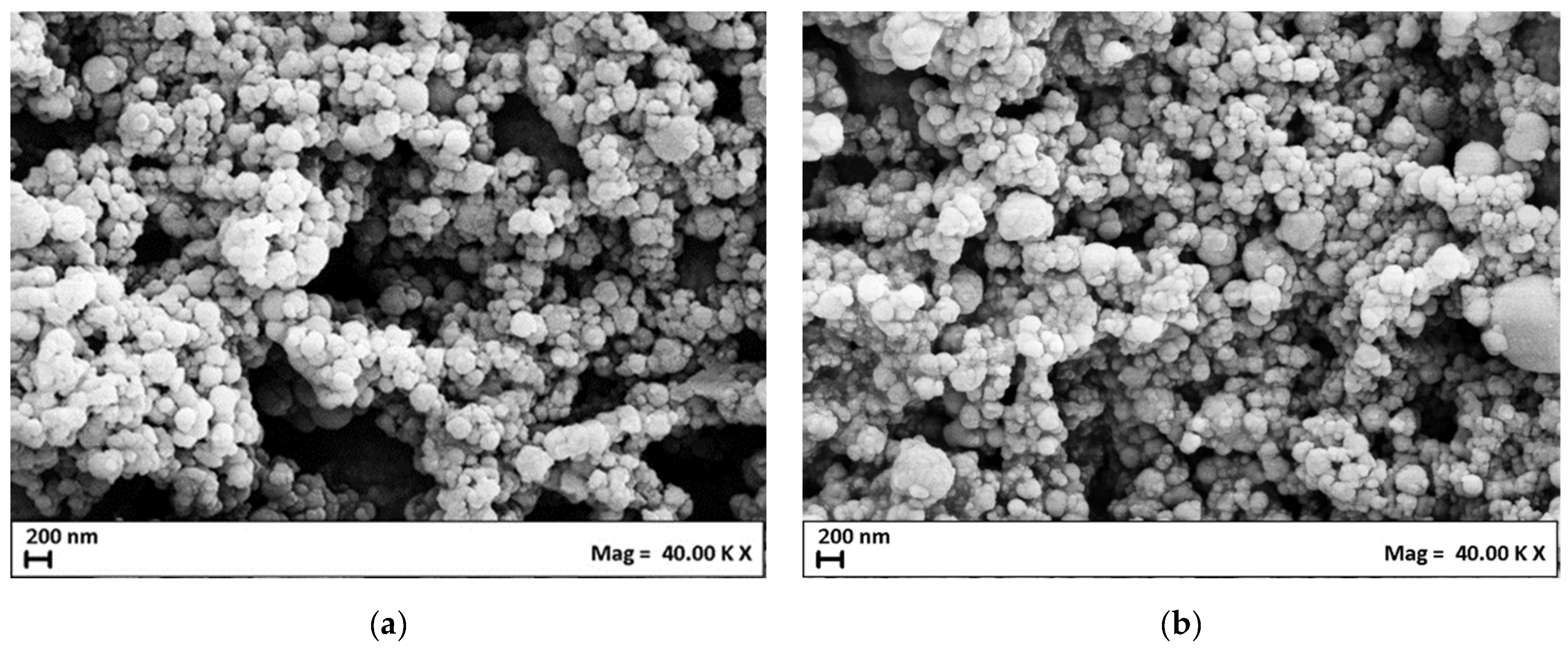 Nanomaterials 14 00846 g002
