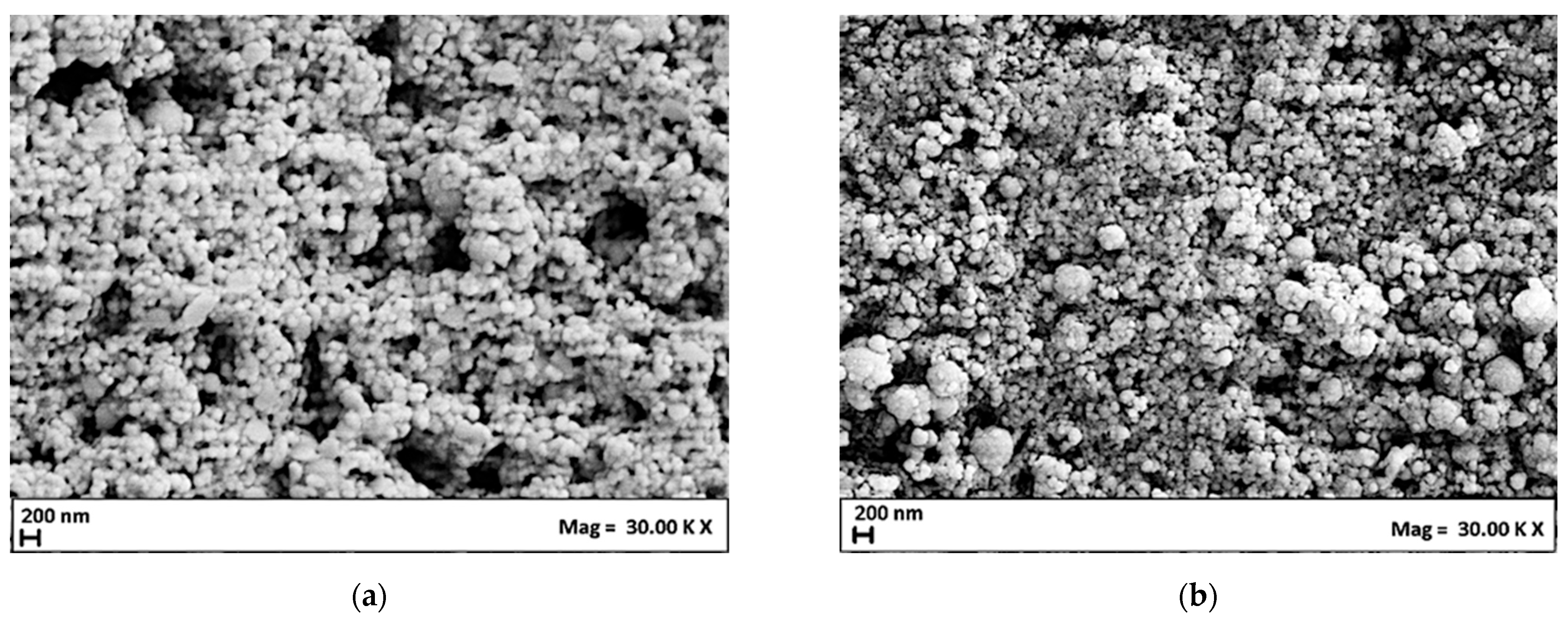 Nanomaterials 14 00846 g004