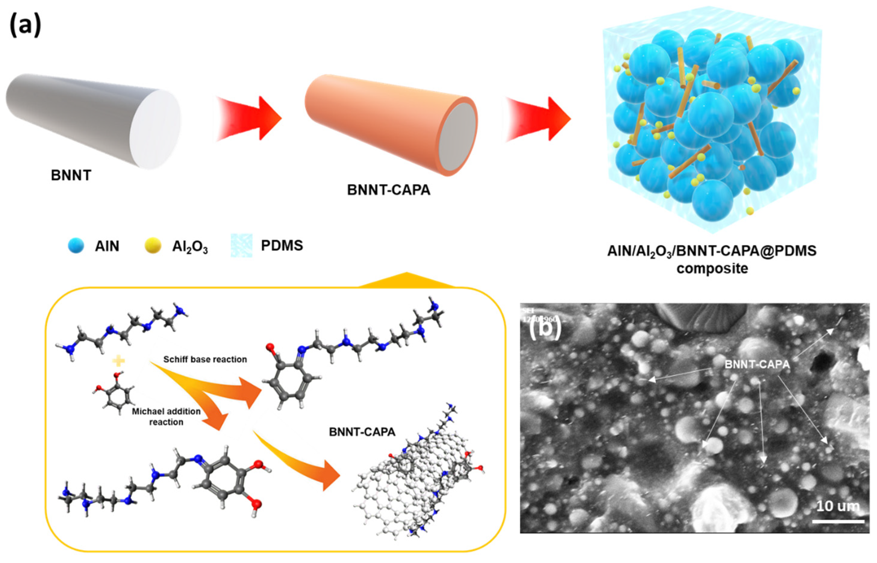 Nanomaterials 14 00847 g001