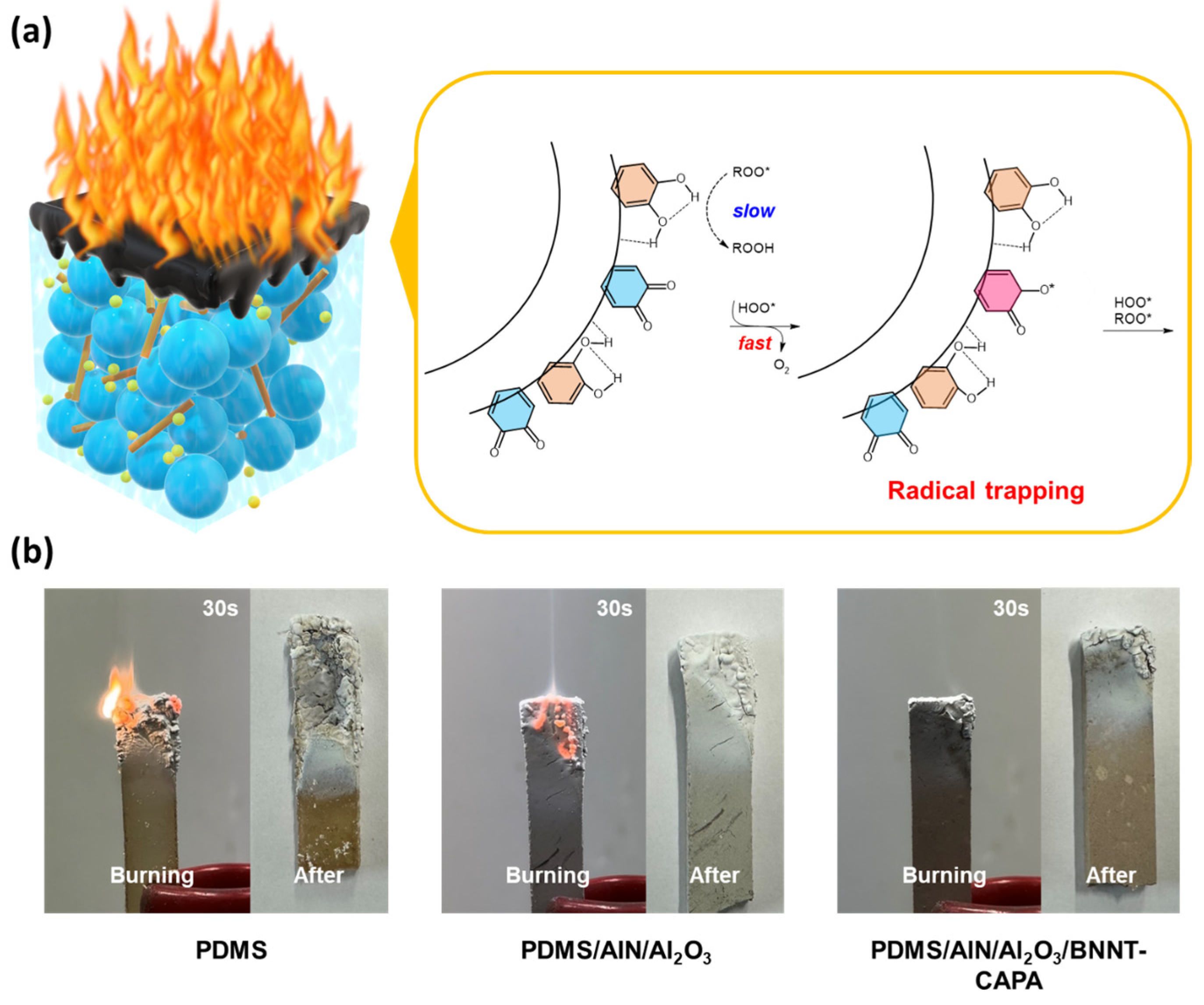 Nanomaterials 14 00847 g008
