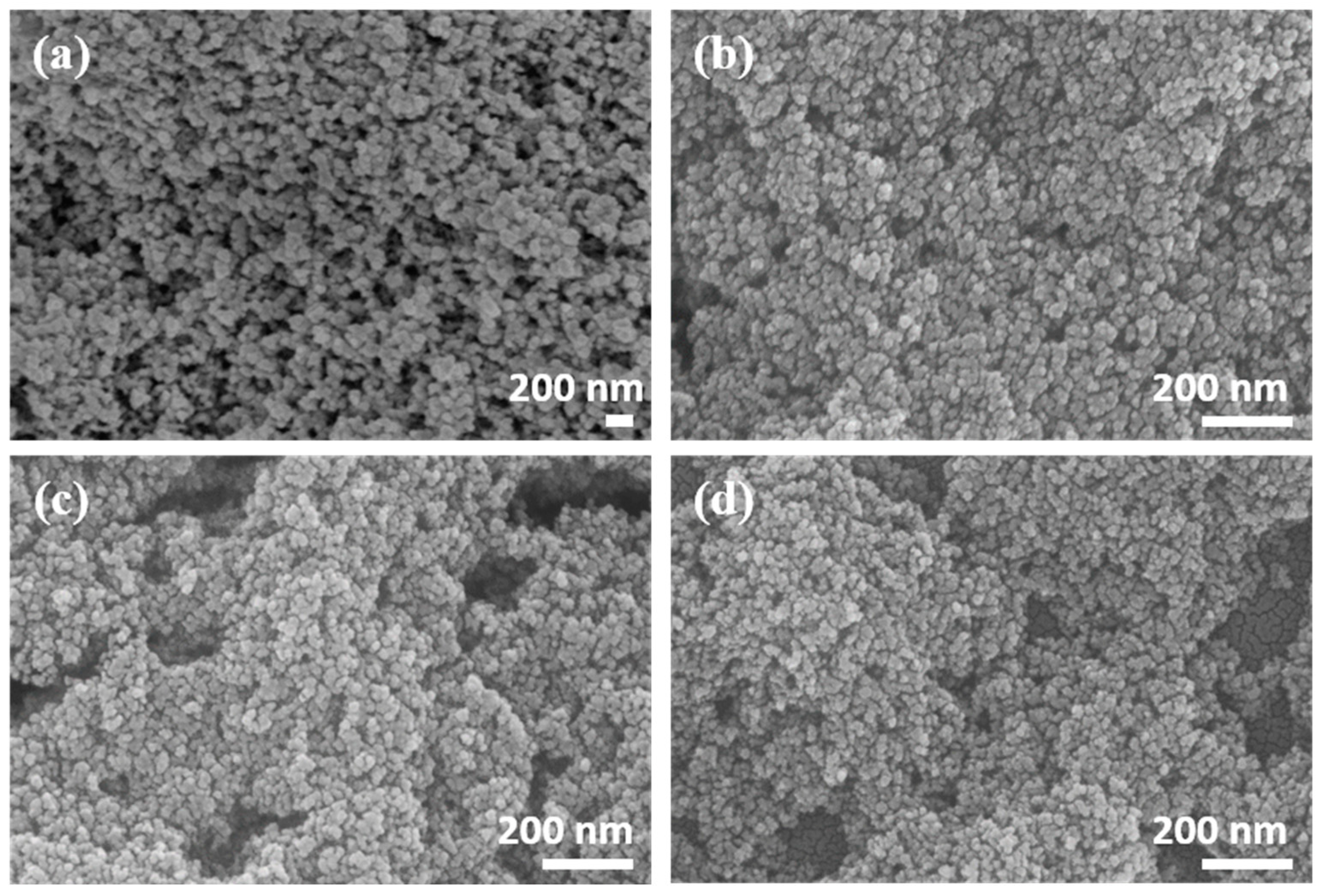 Nanomaterials 14 00848 g004