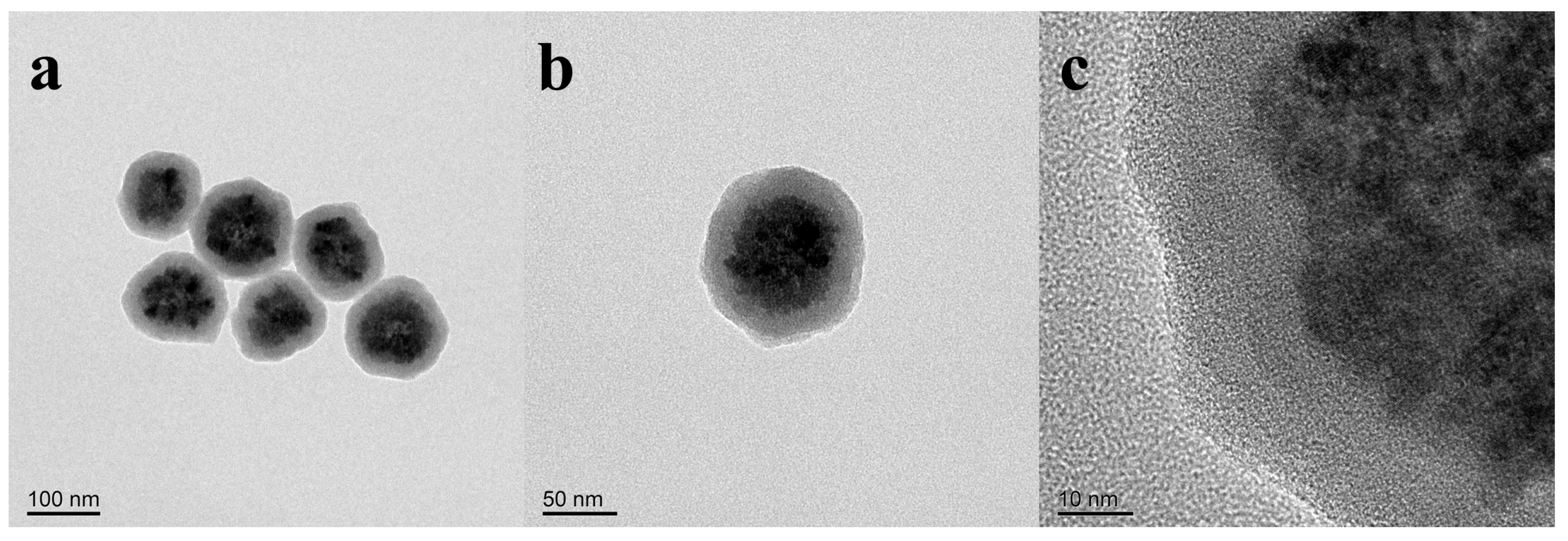Nanomaterials 14 00852 g010