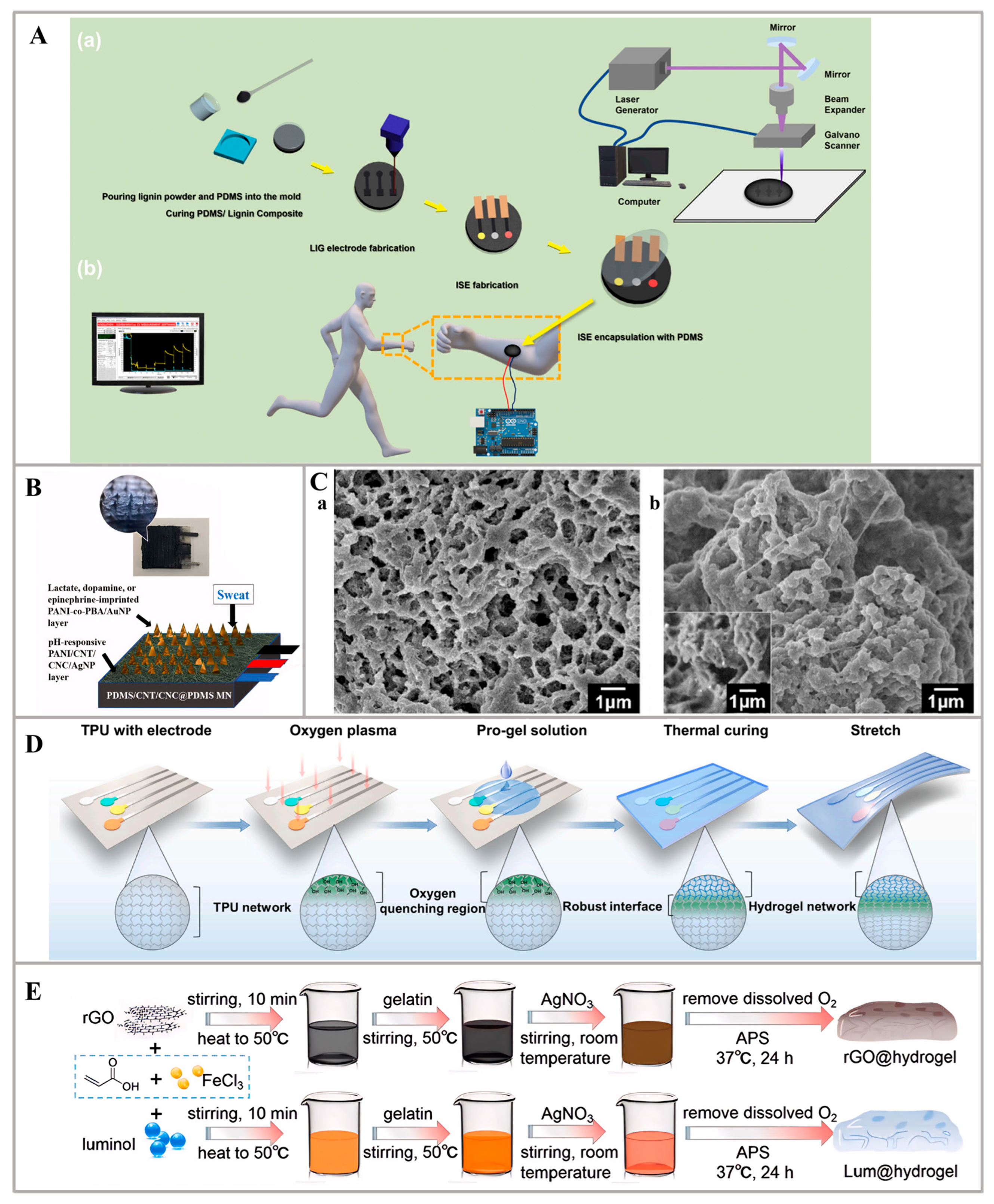 Nanomaterials 14 00857 g006